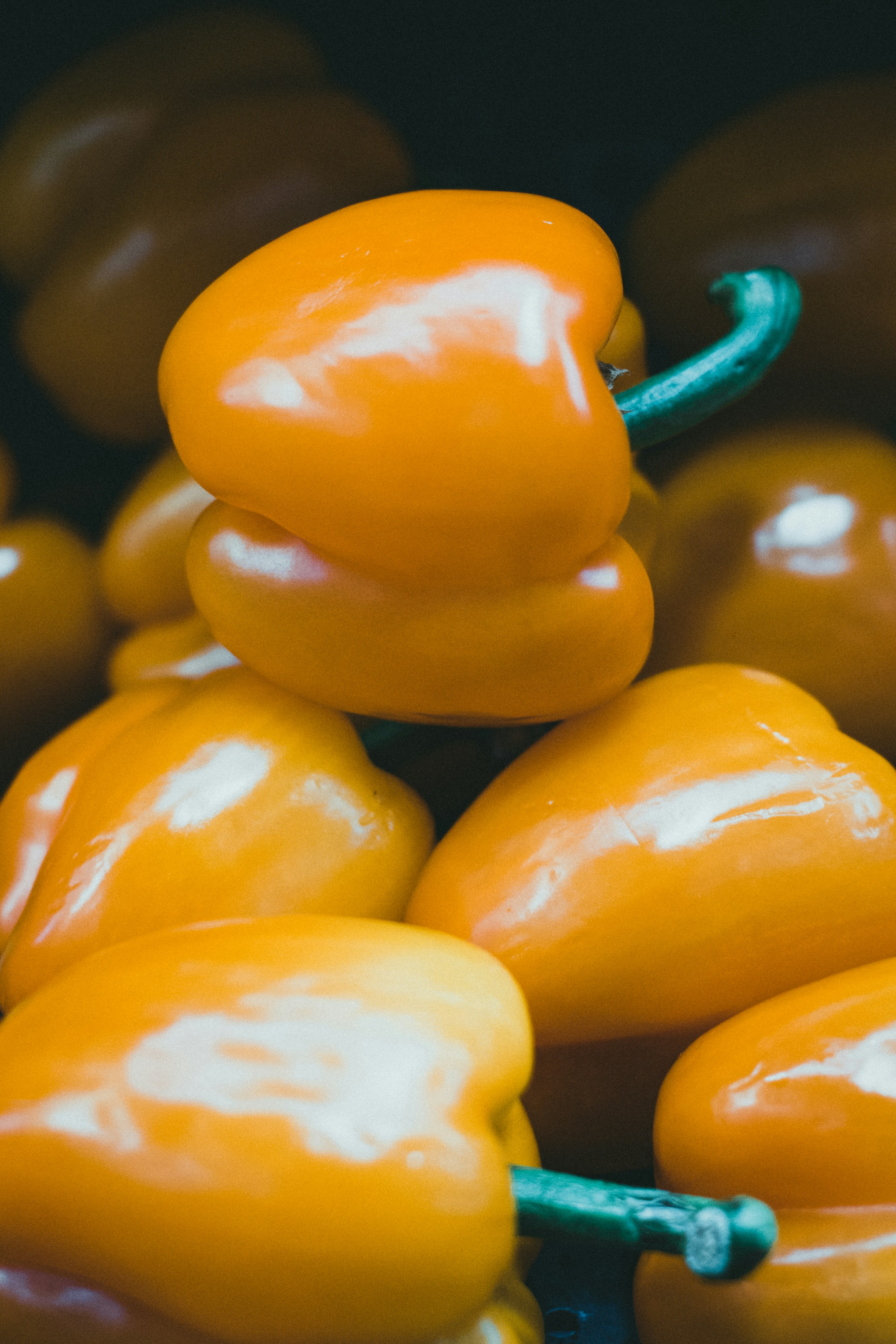 Photo by theshuttervision