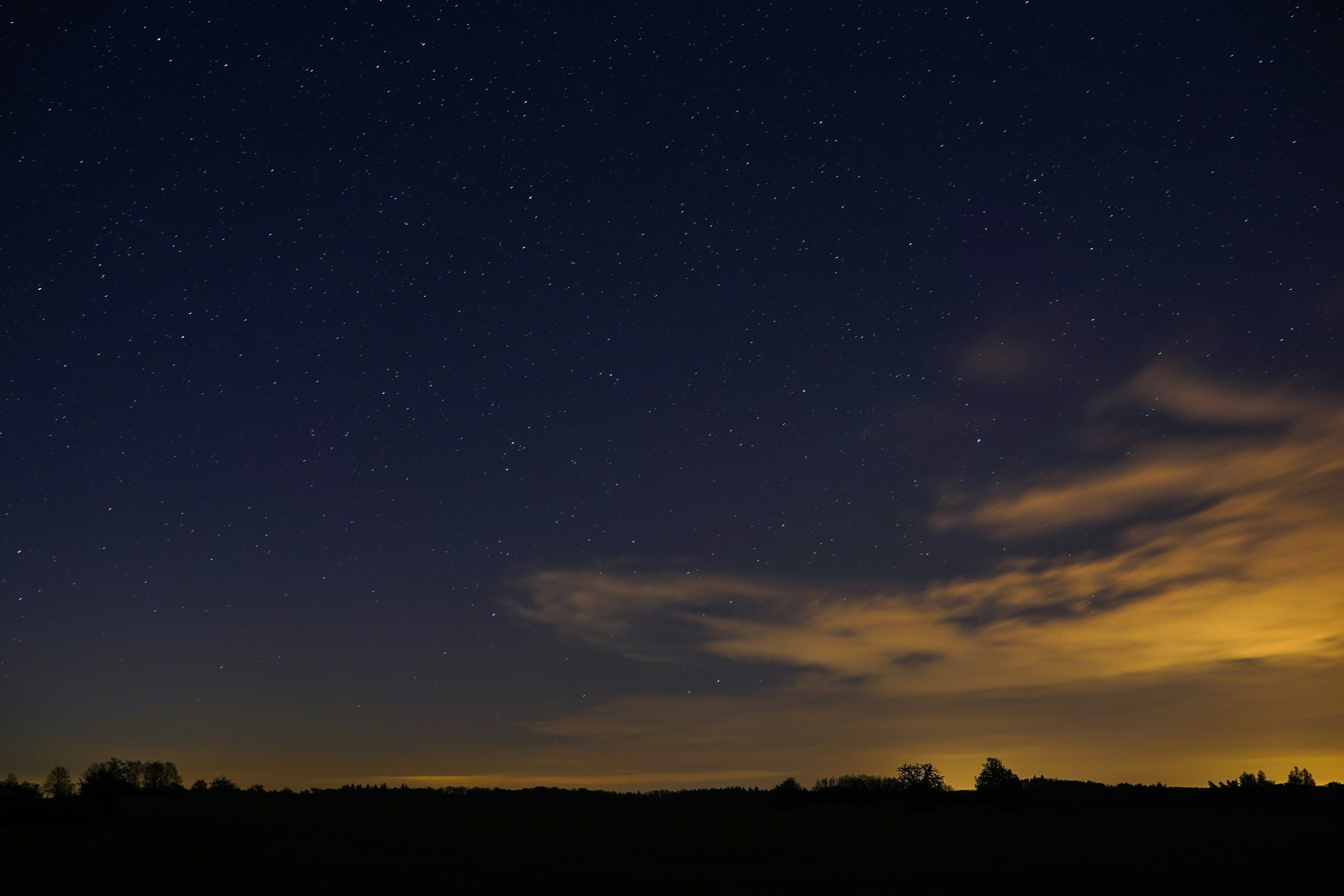 Photo by maximesteckle