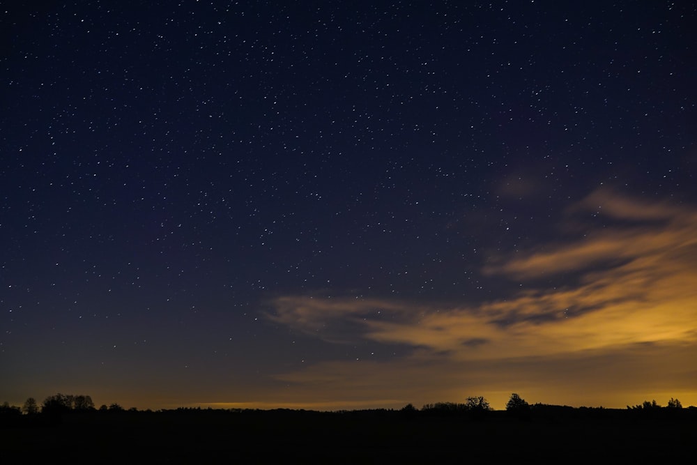 the night sky with stars above a field