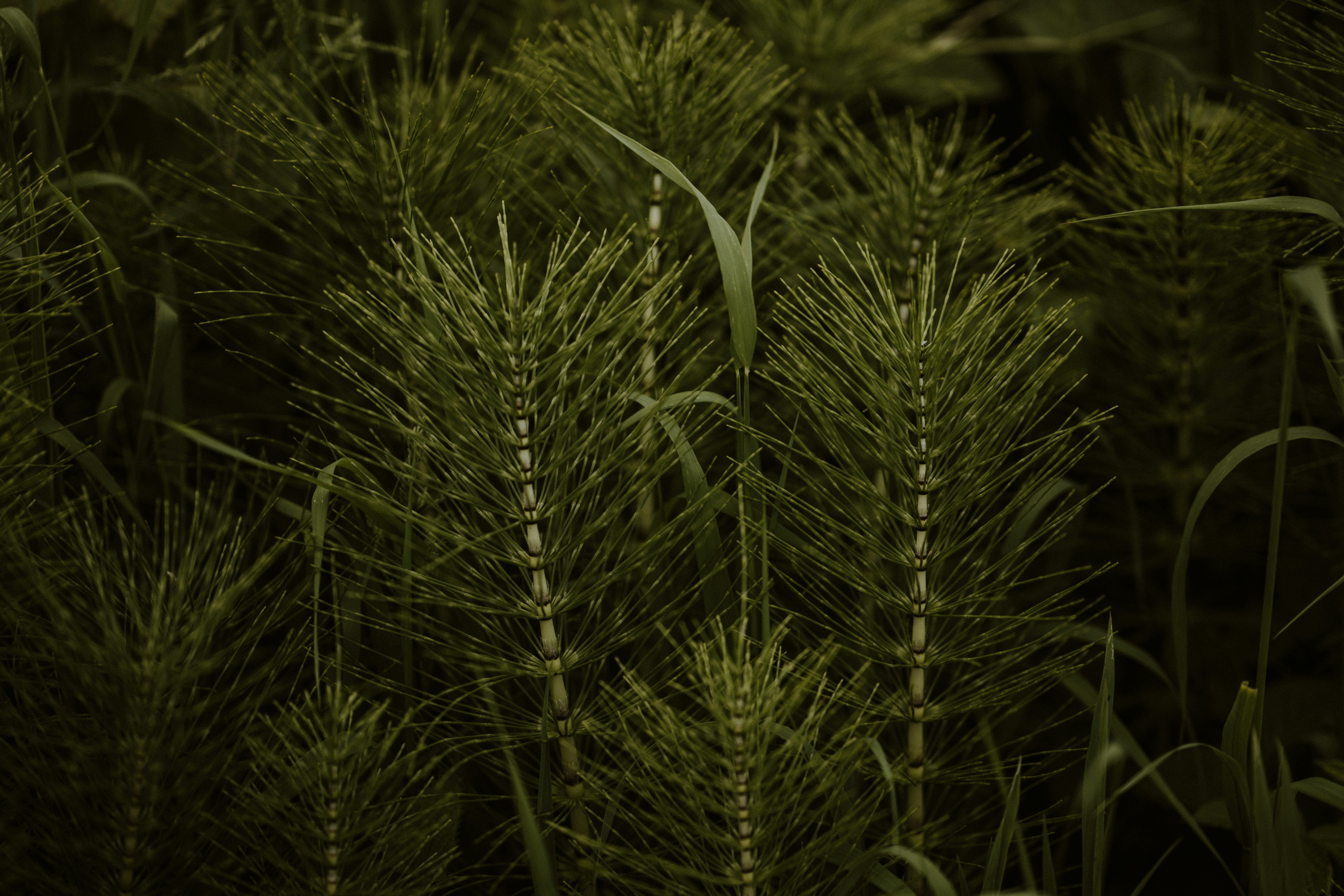 Photo by anniespratt