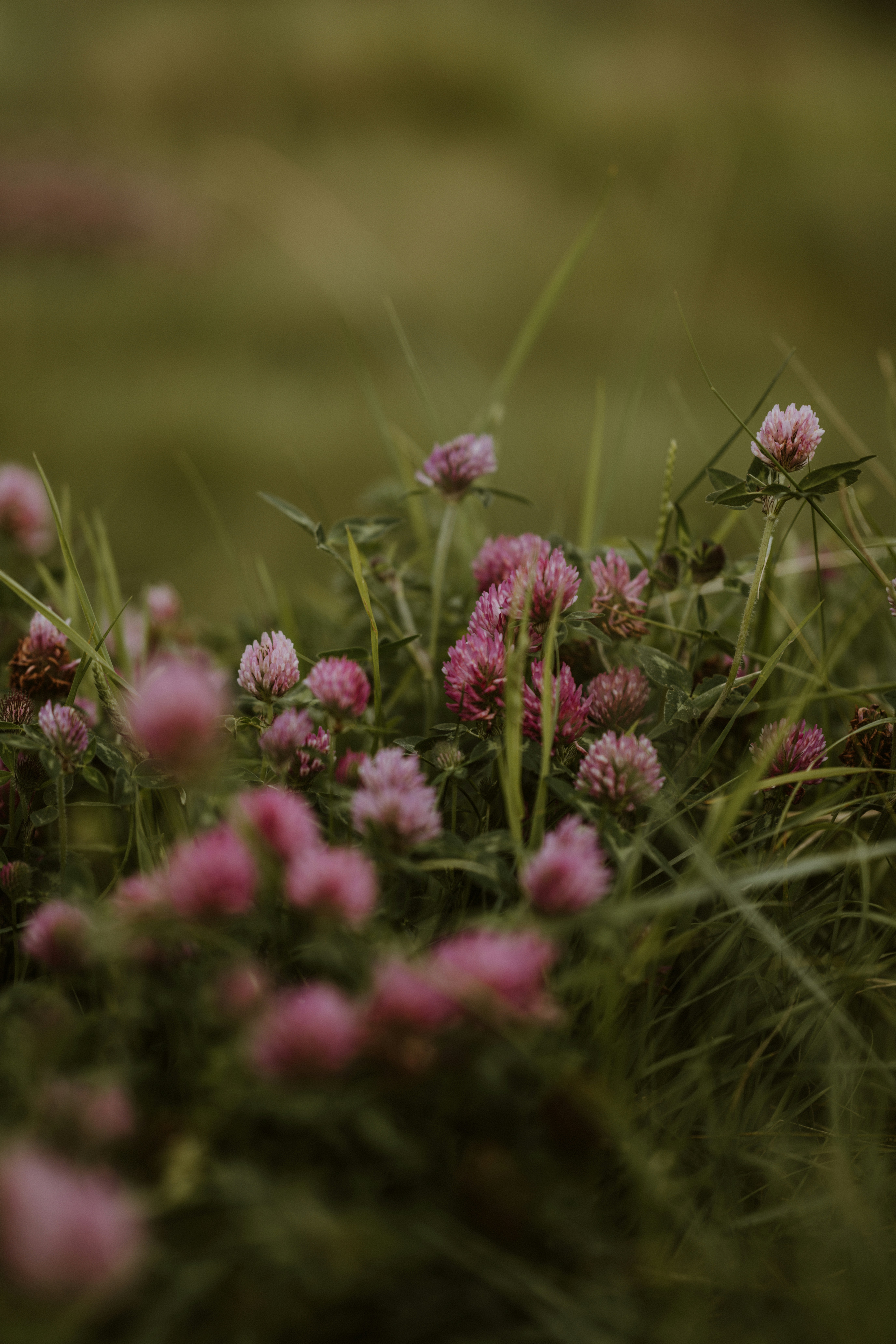 Photo by anniespratt