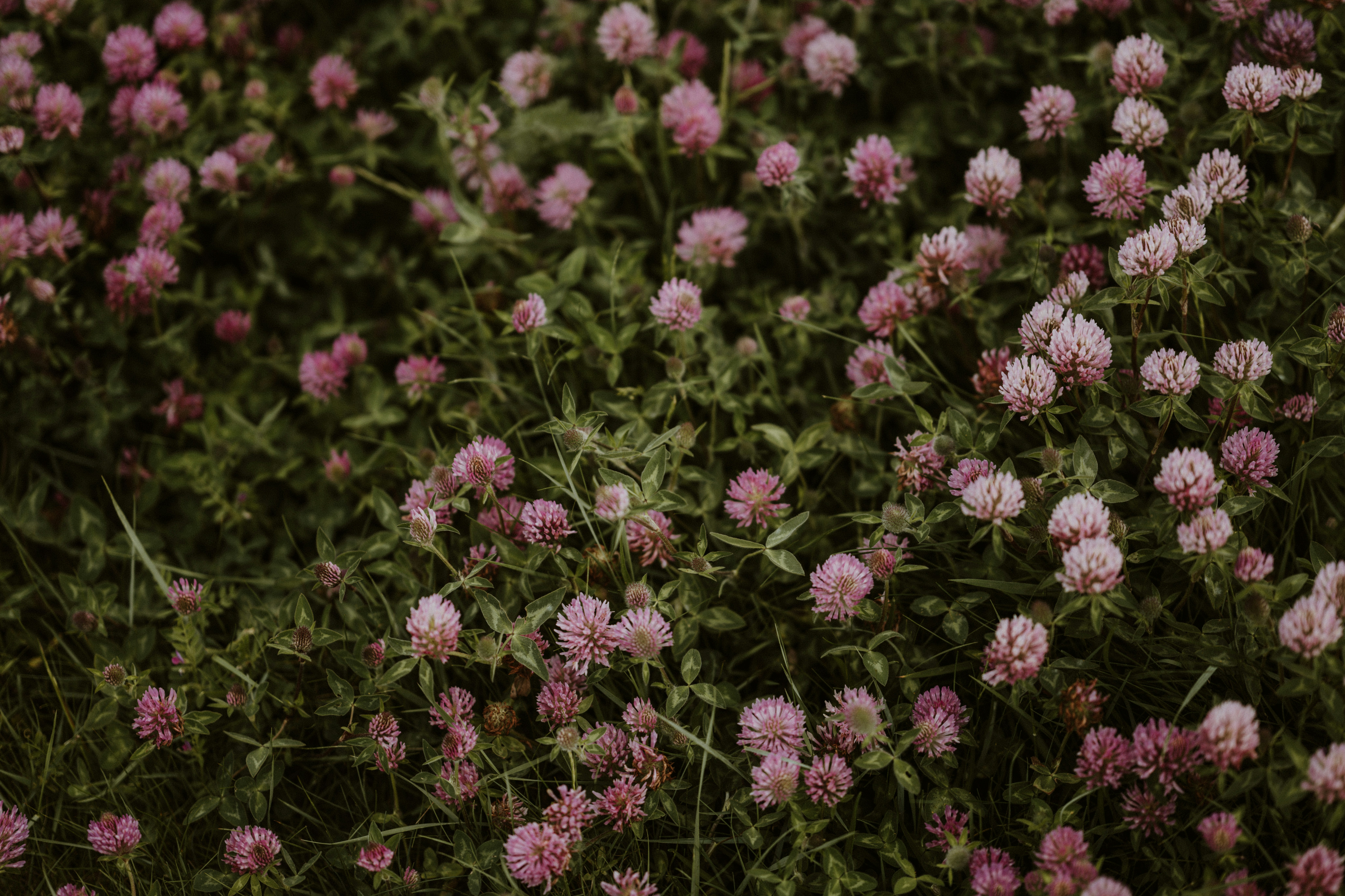 Photo by anniespratt