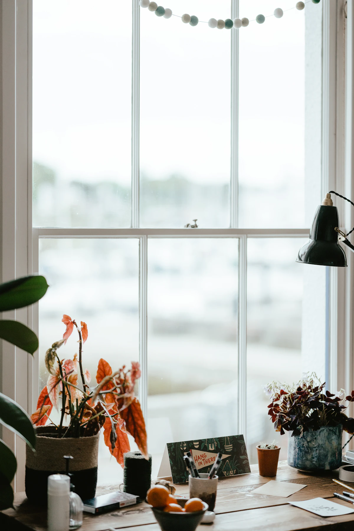 A plant and wooden table by a bright window