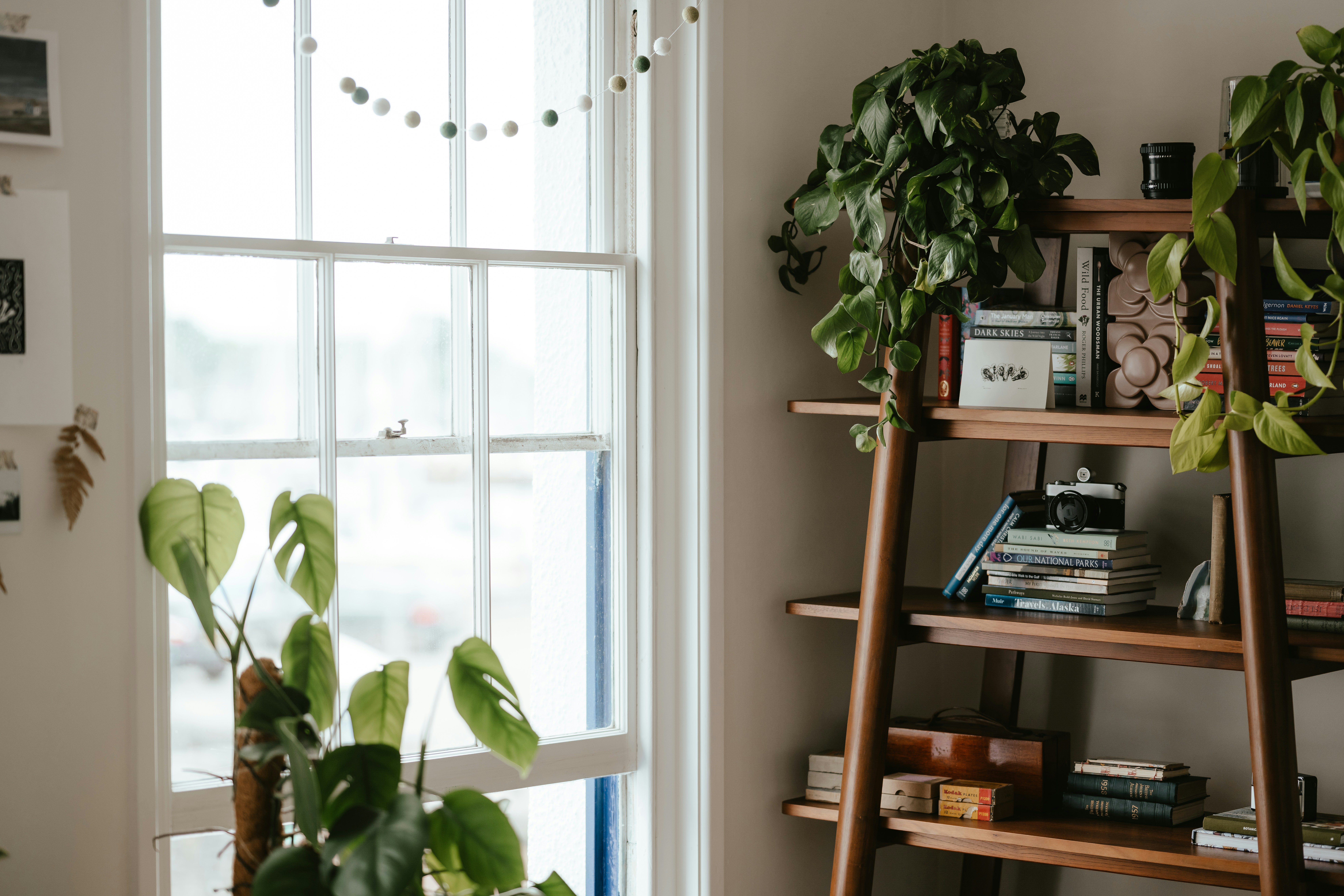 The Case Against the Plant Haul: Less Is the Real Growth Hack