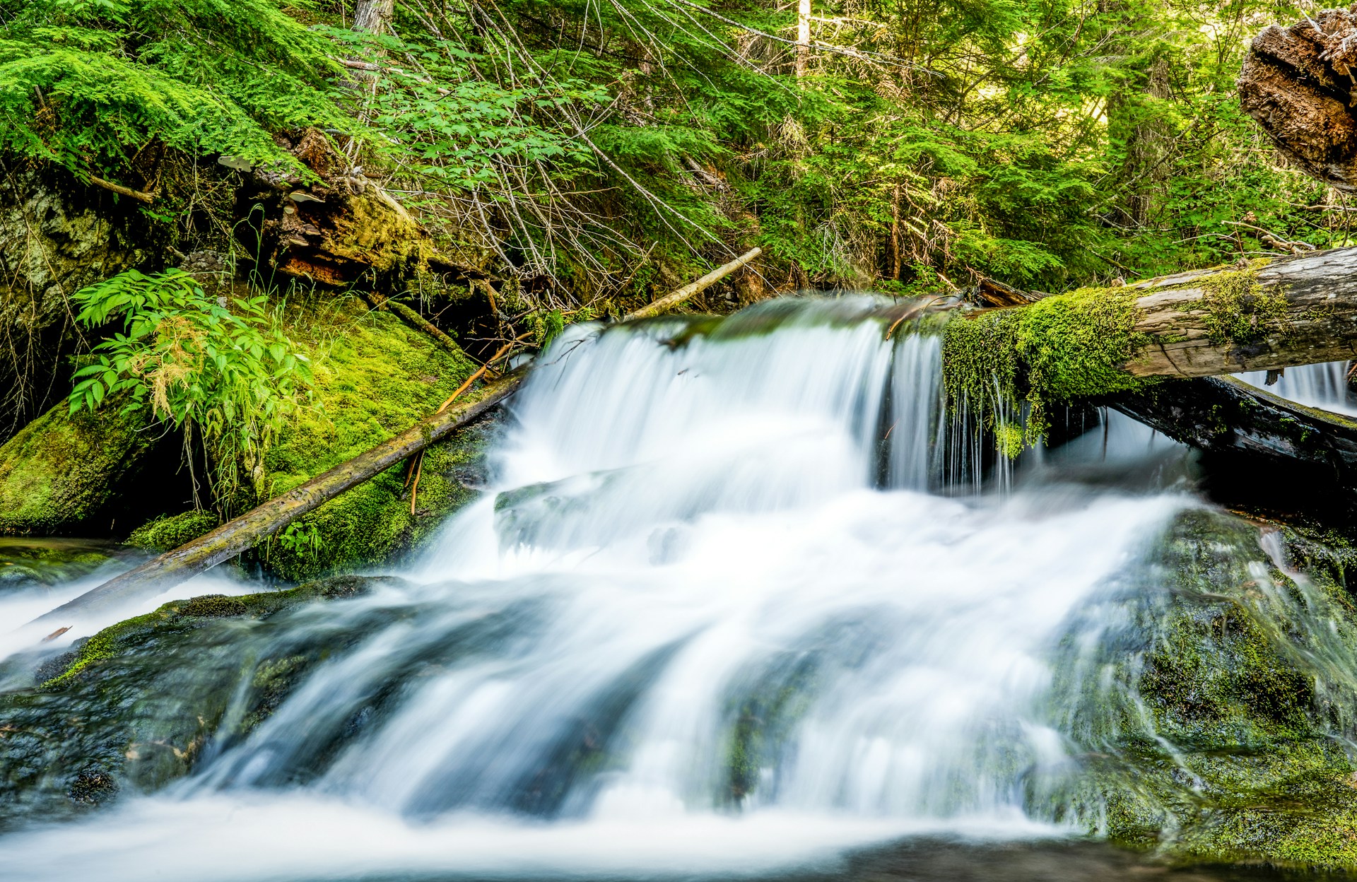 a small waterfall in the middle of a forest