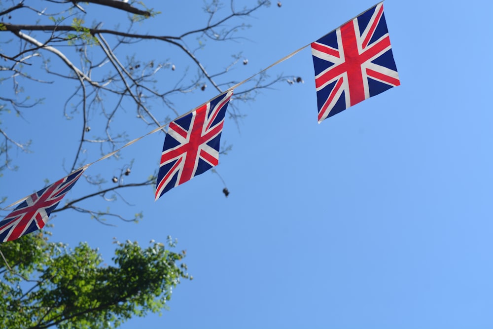 three british flags hanging from a tree branch