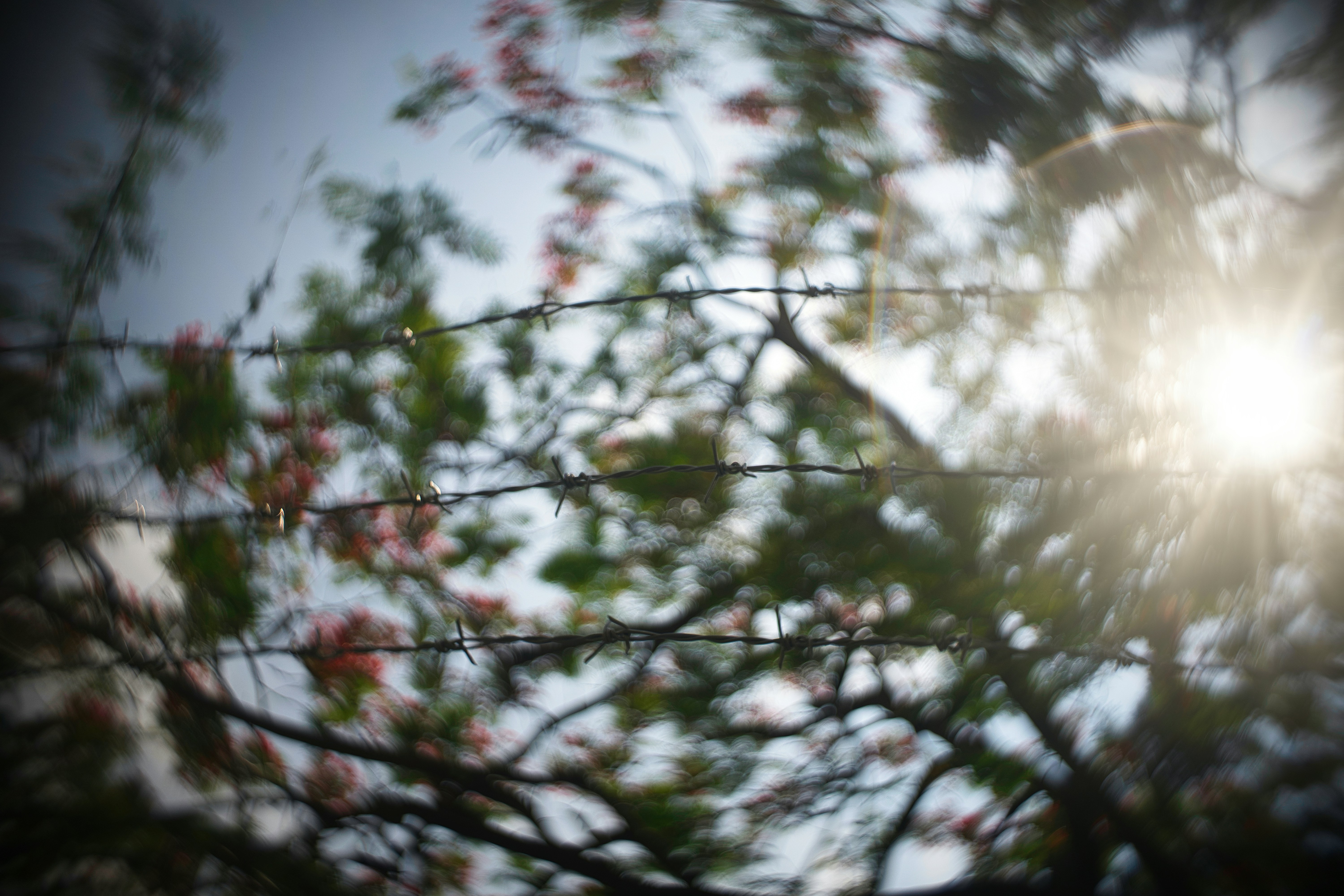 Photo by thomaskinto