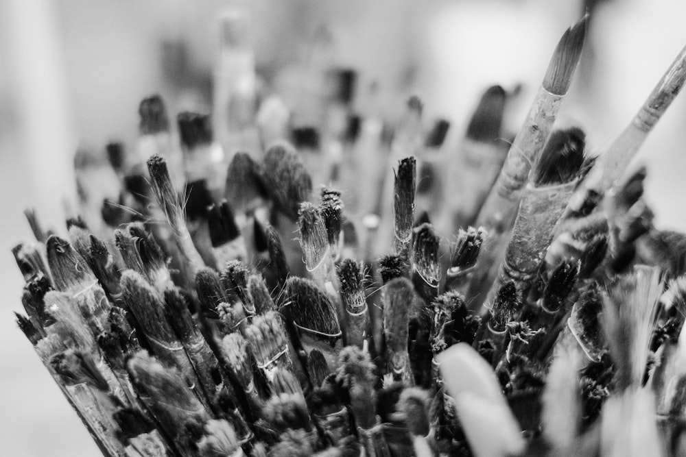 black and white photograph of a bunch of sticks