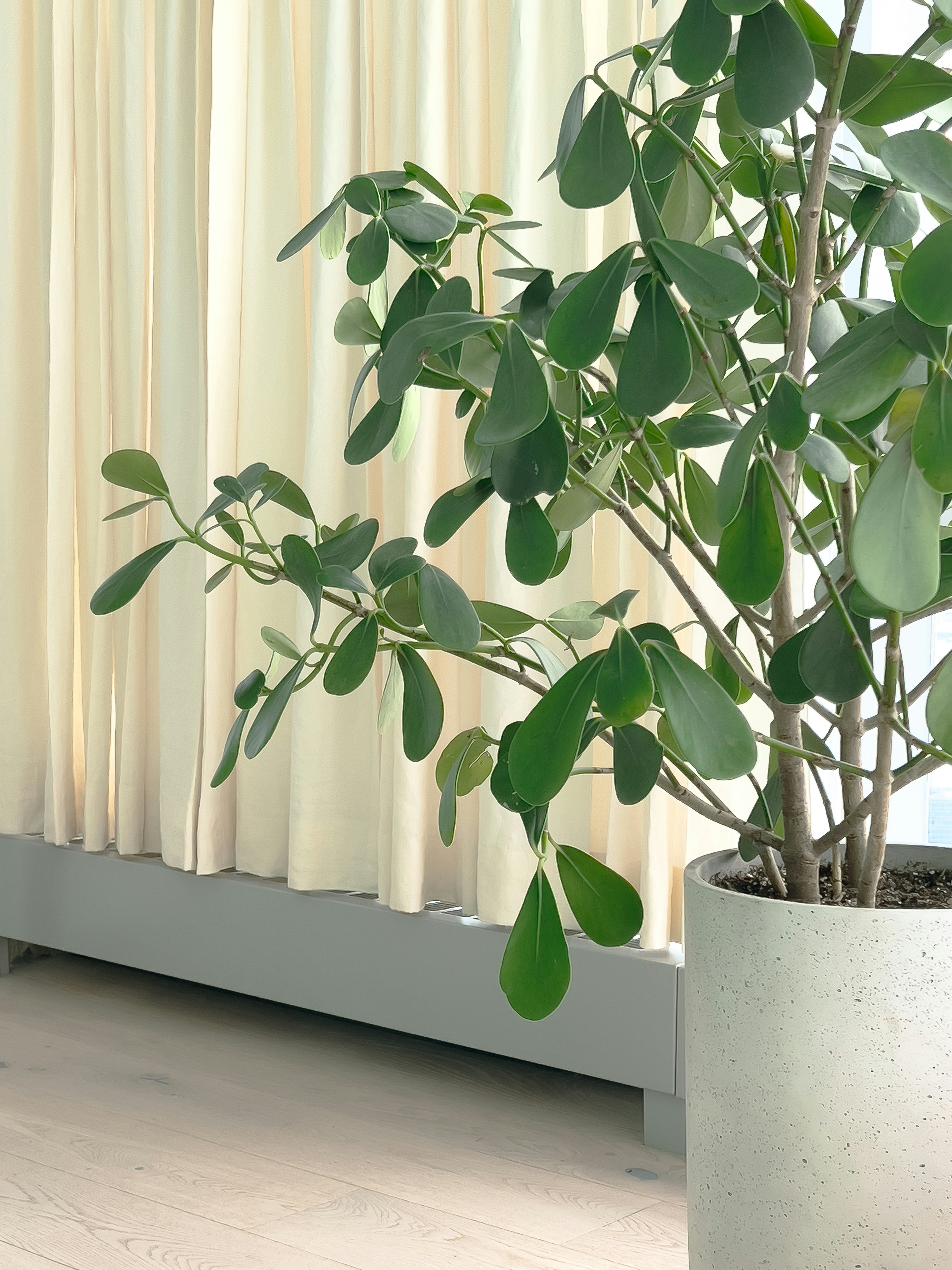 Photo by gerdadesign