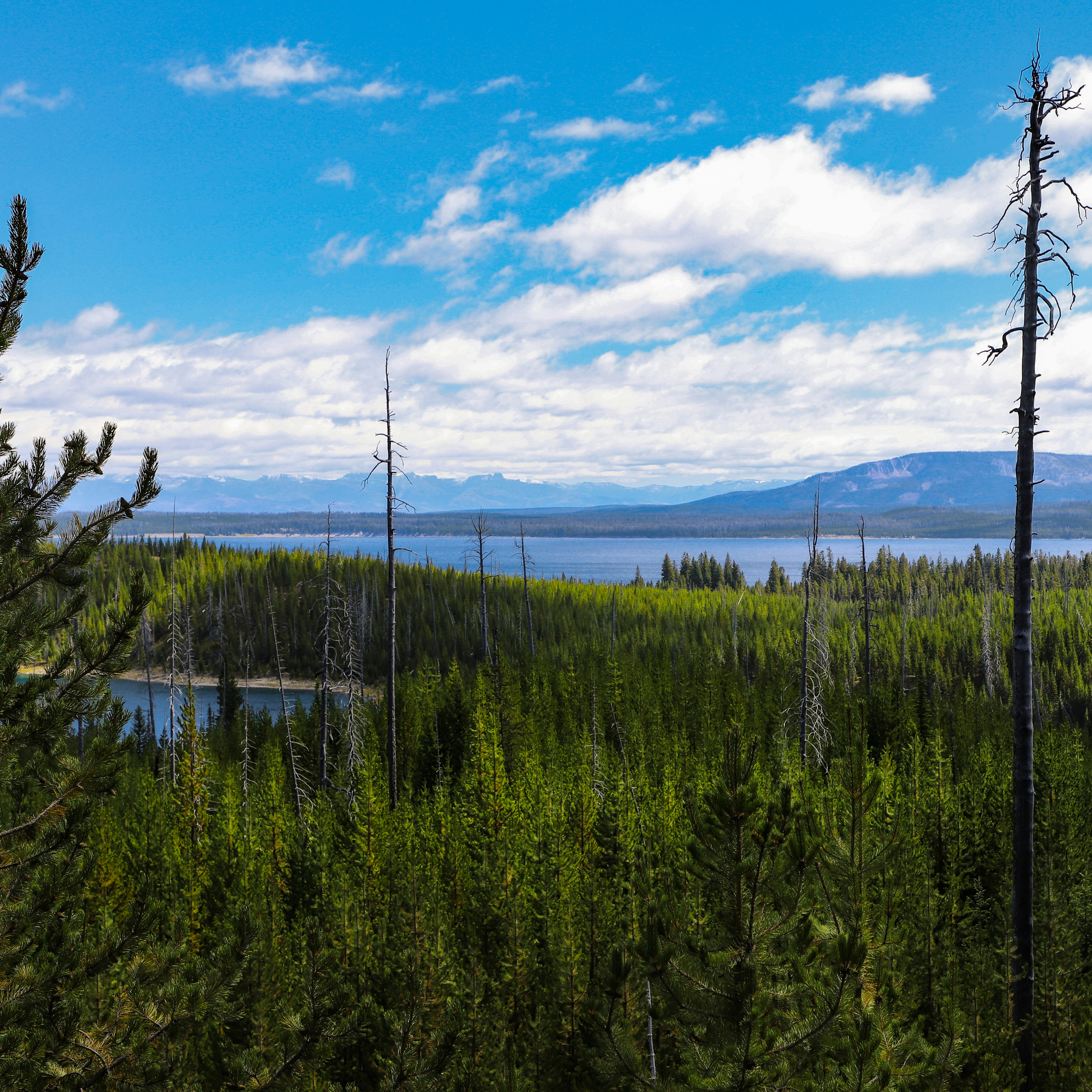 Photo by allanbenjaminfrancis