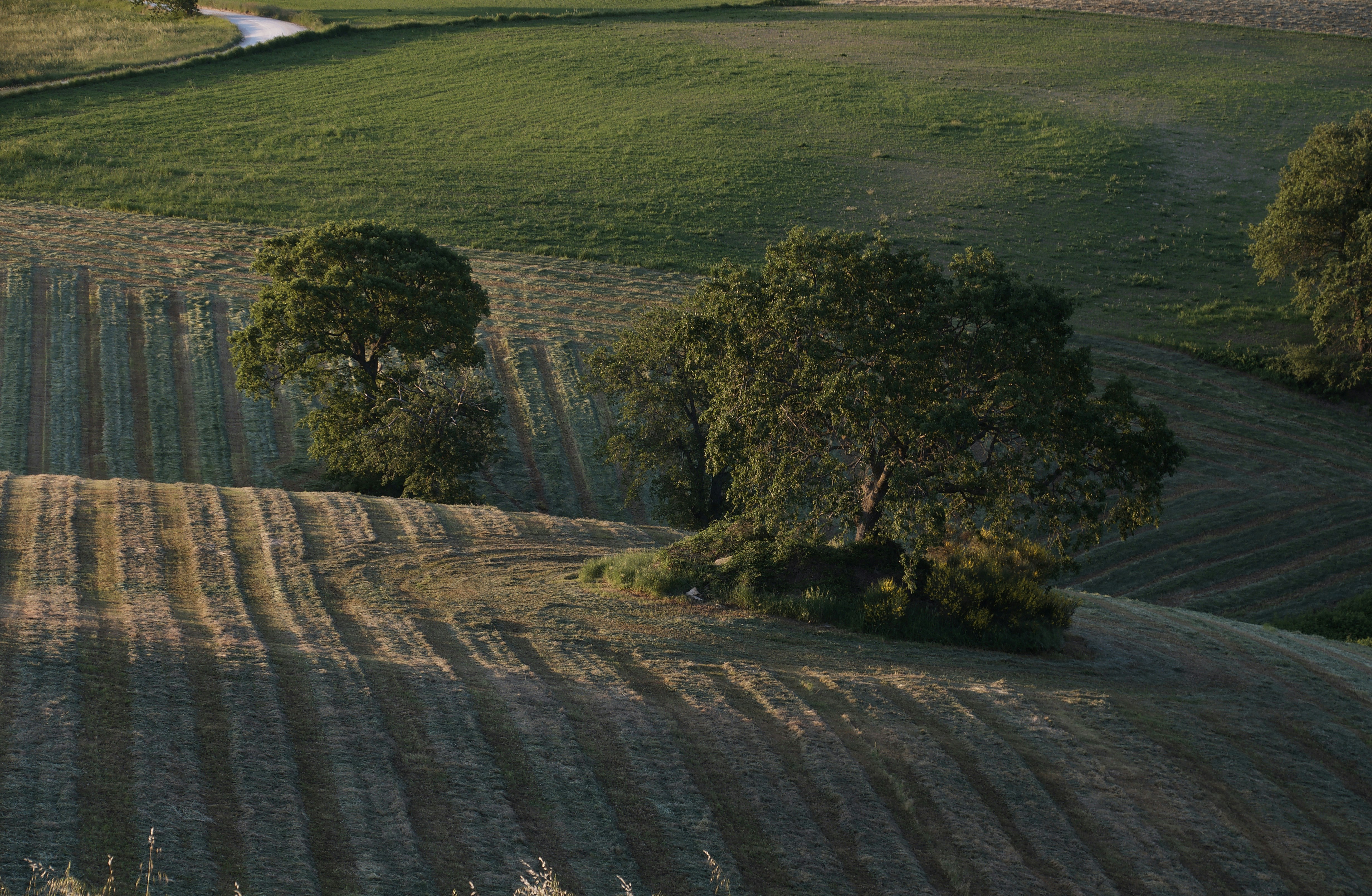 Photo by mariobeducci