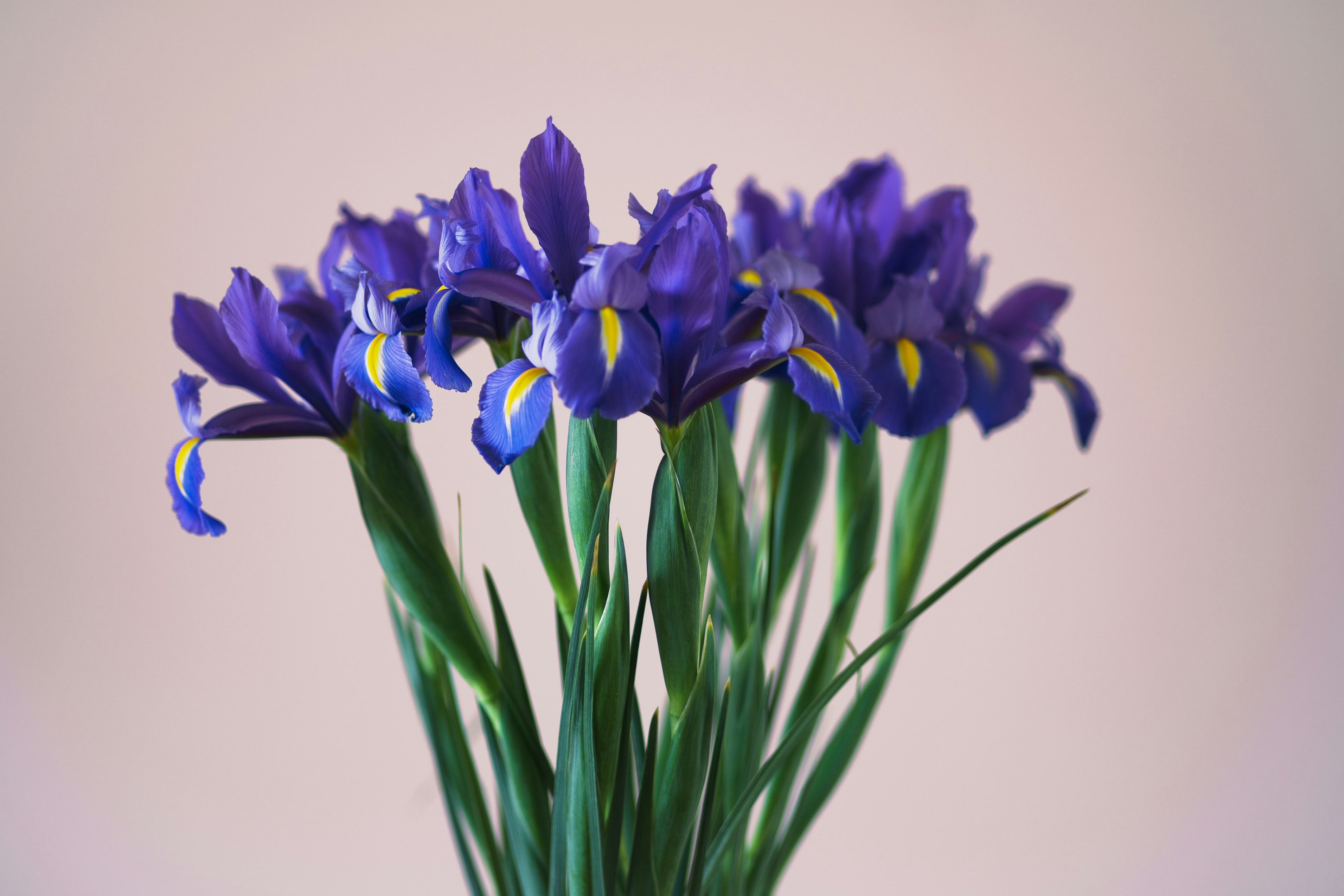 Photo by earl_plannerzone