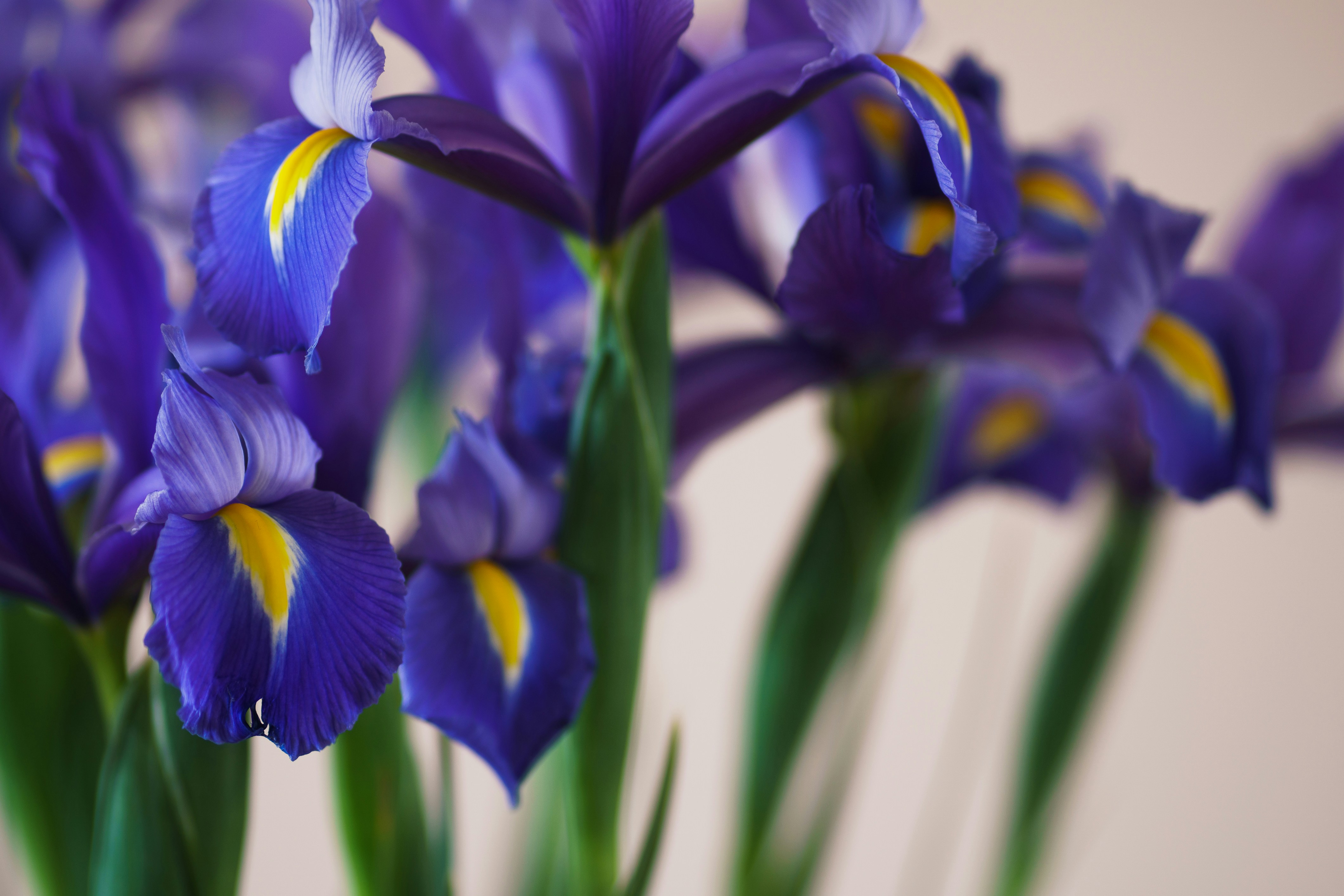 Photo by earl_plannerzone