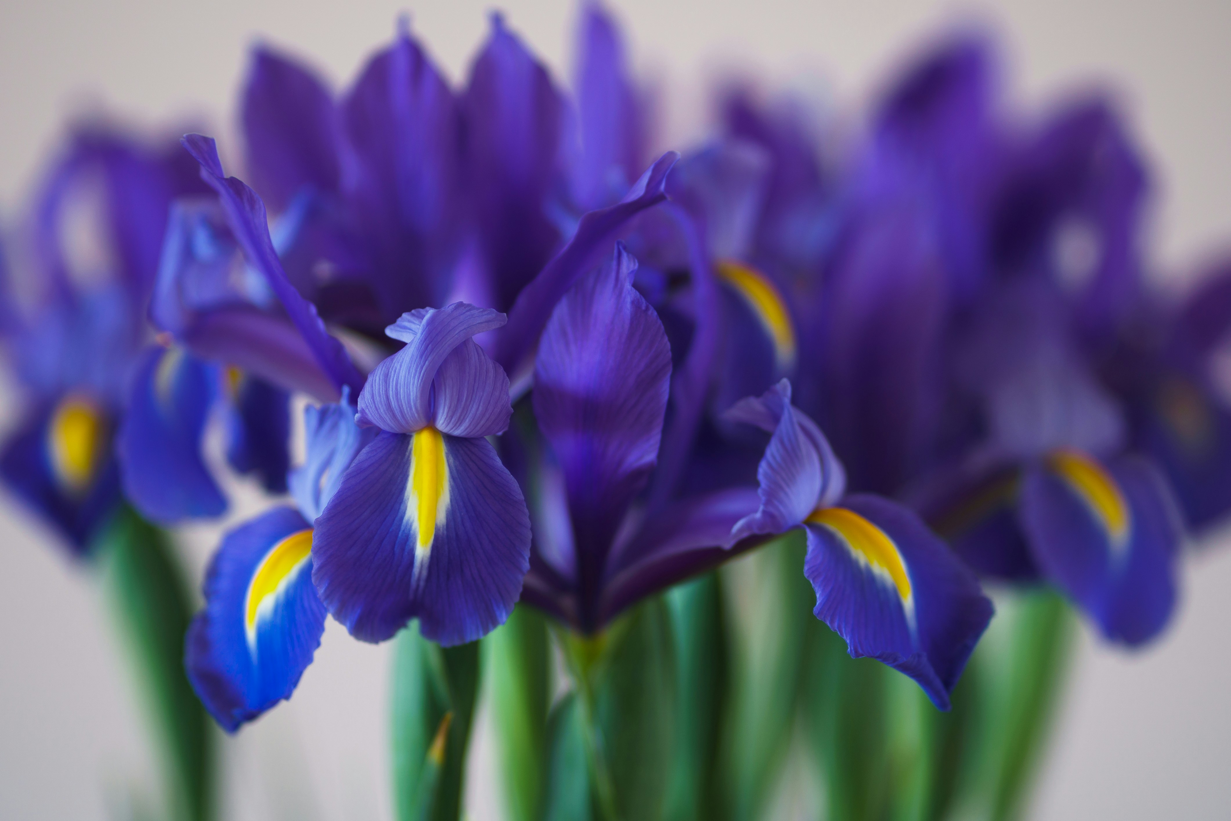 Photo by earl_plannerzone