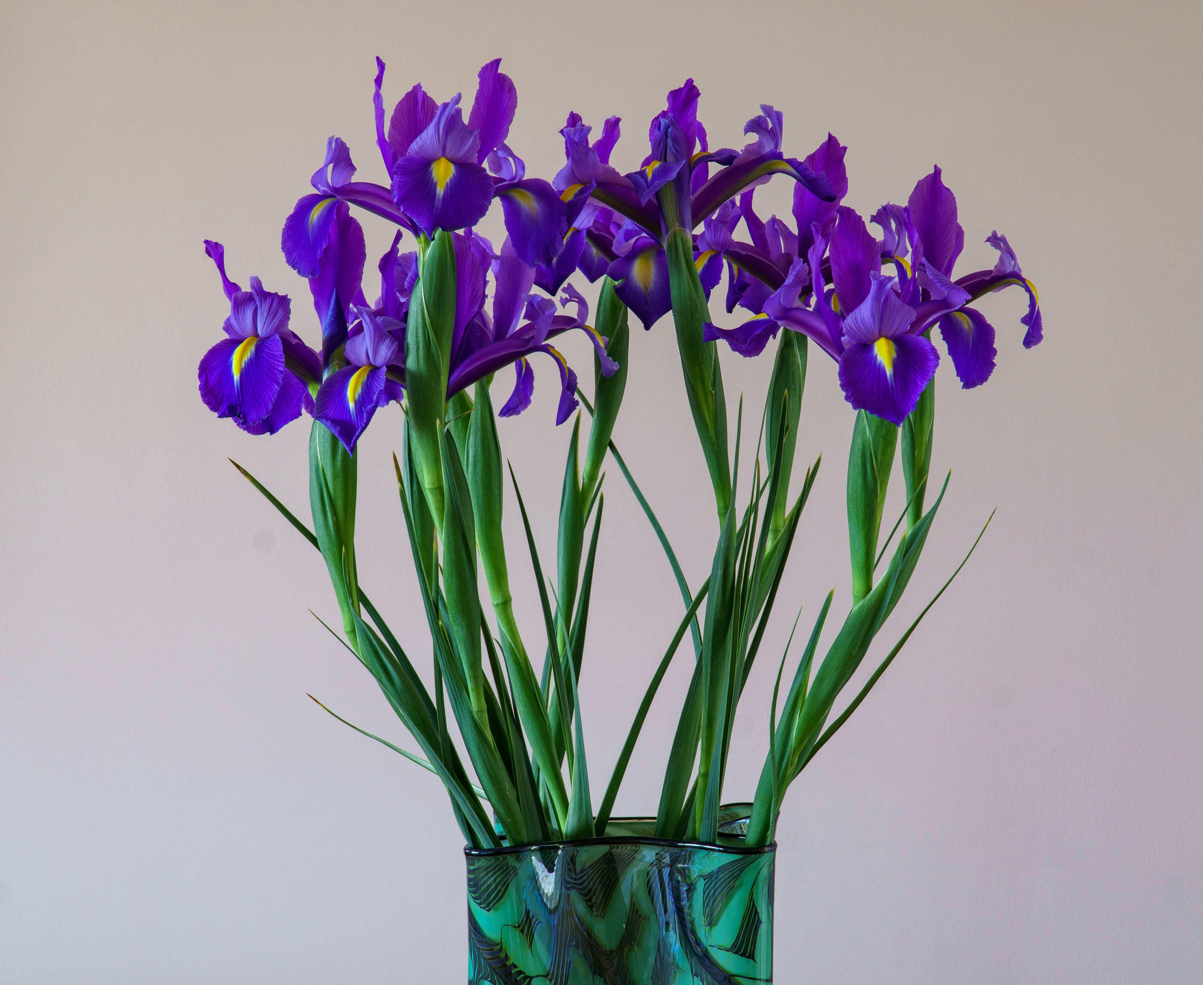 Photo by earl_plannerzone