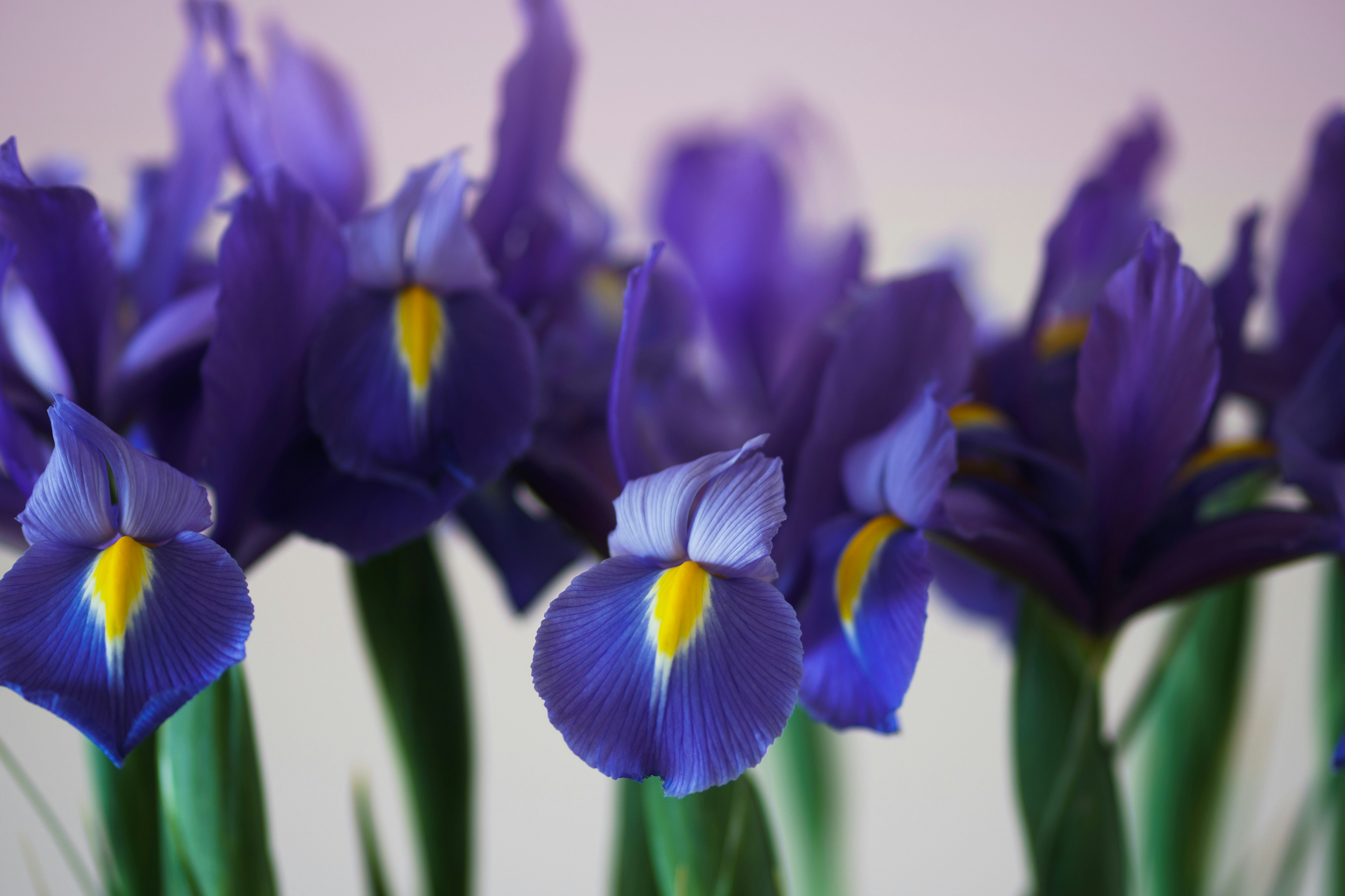 Photo by earl_plannerzone