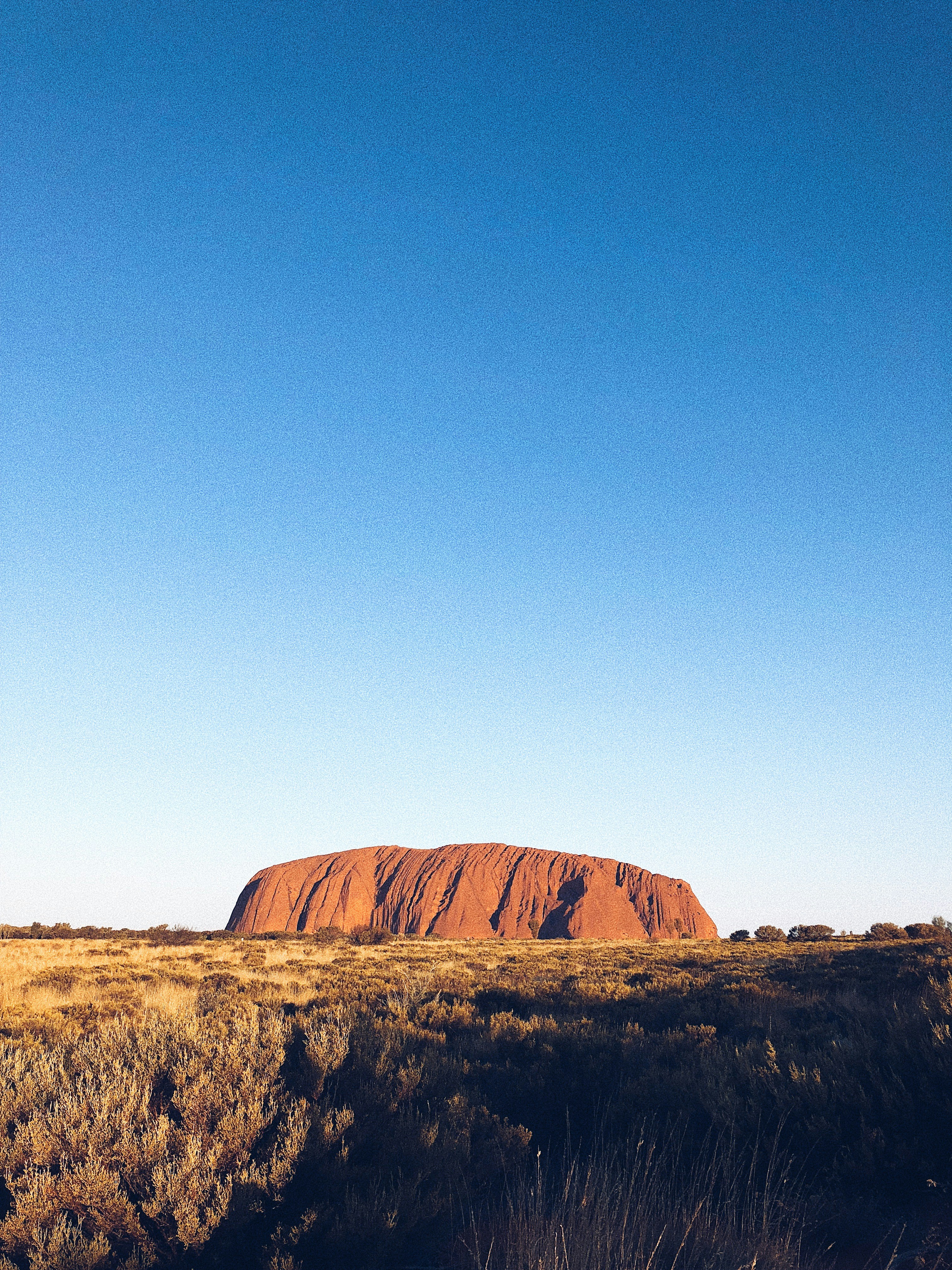 Photo by bruscheiner