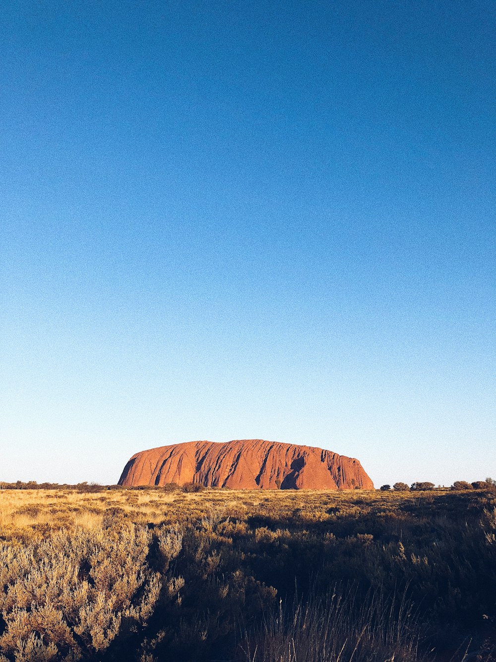 a large rock in the middle of a field