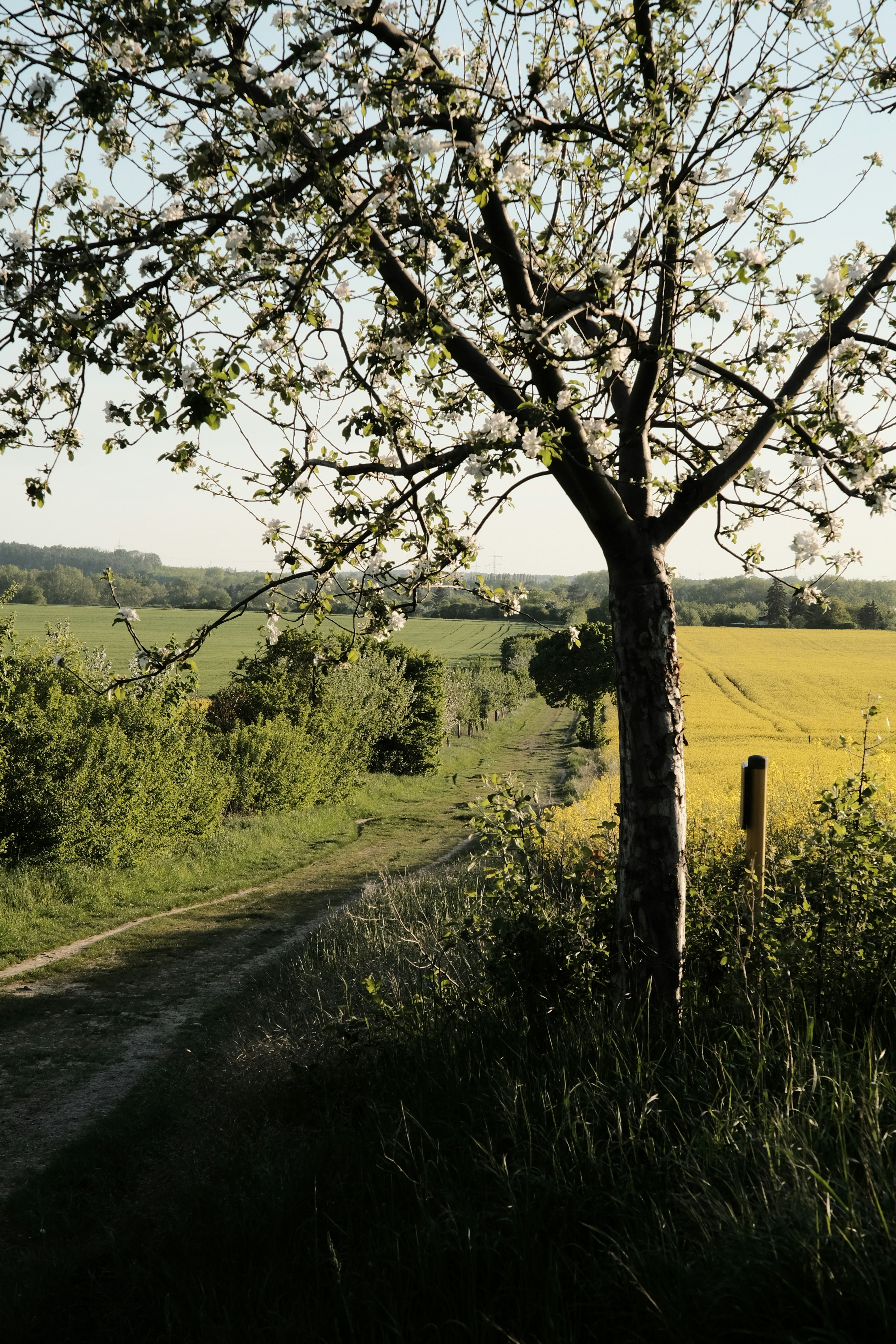 Photo by nhidtt