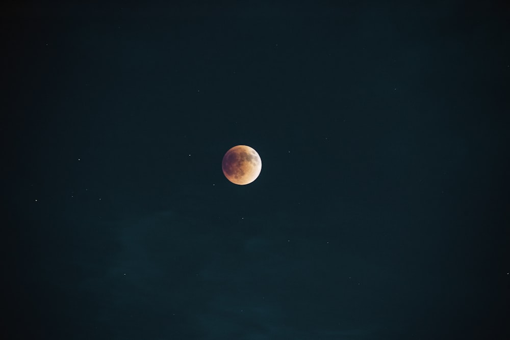 a half moon is seen in the dark sky