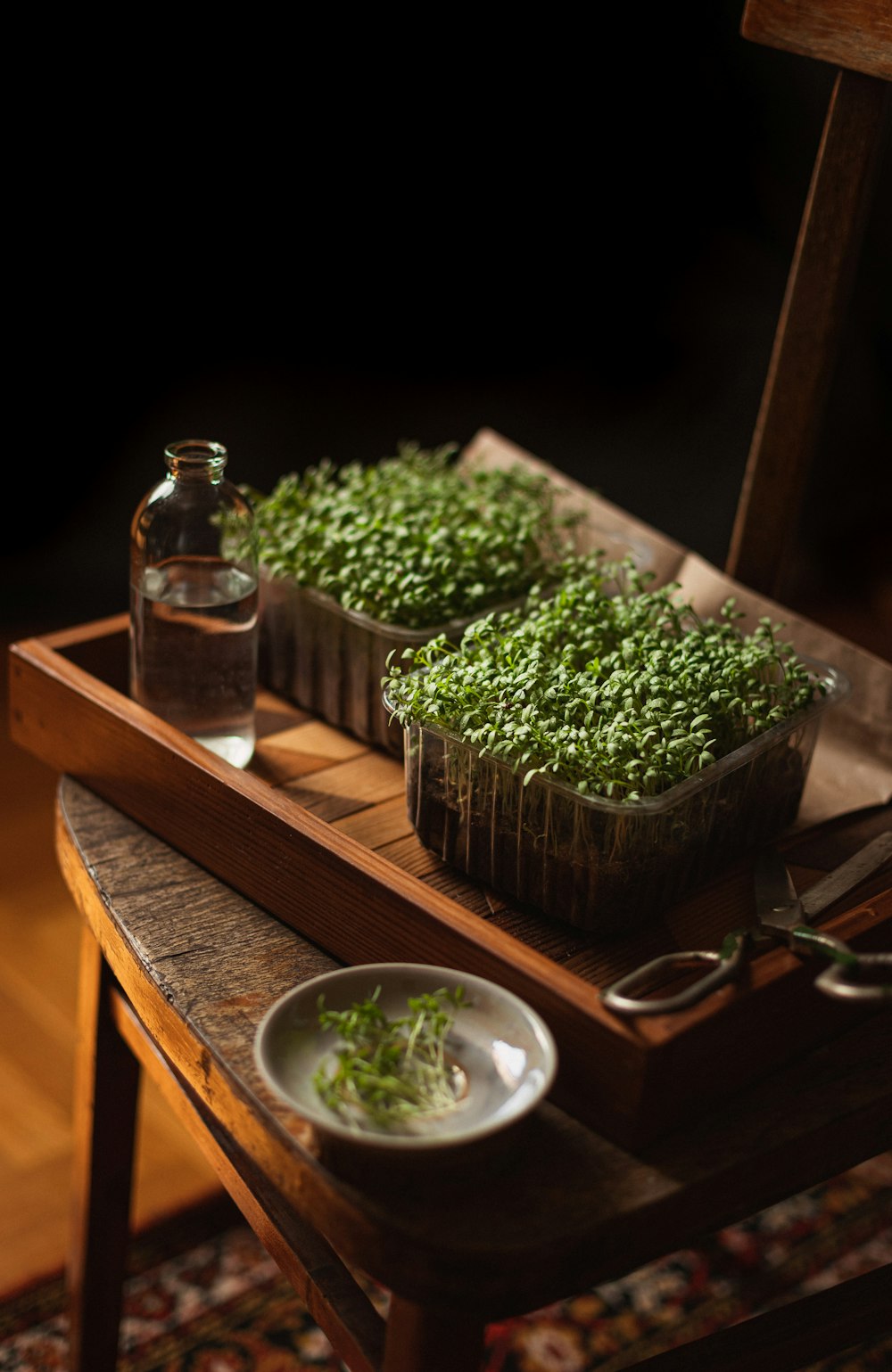 two trays of food on a wooden table