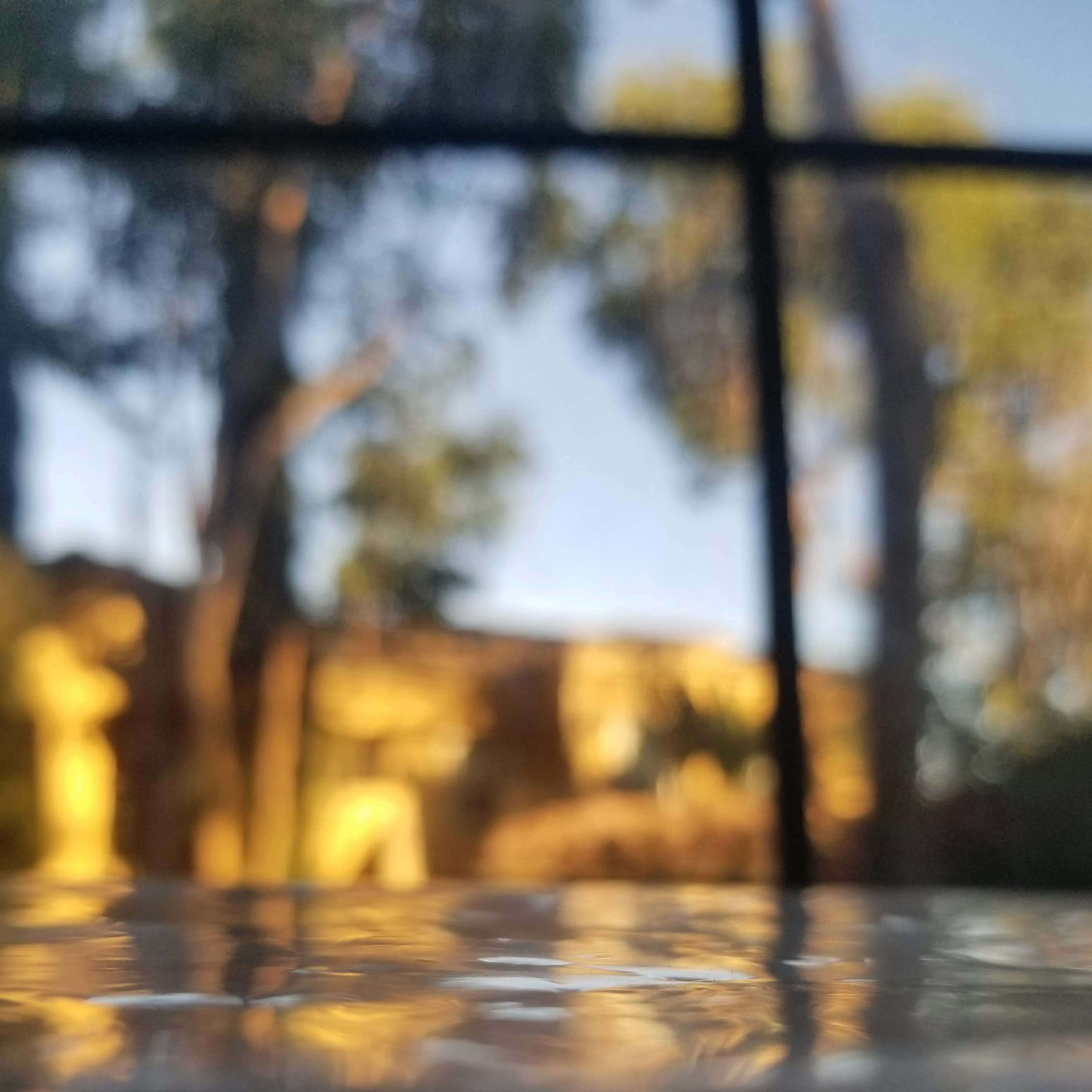 a close up of a window with trees in the background