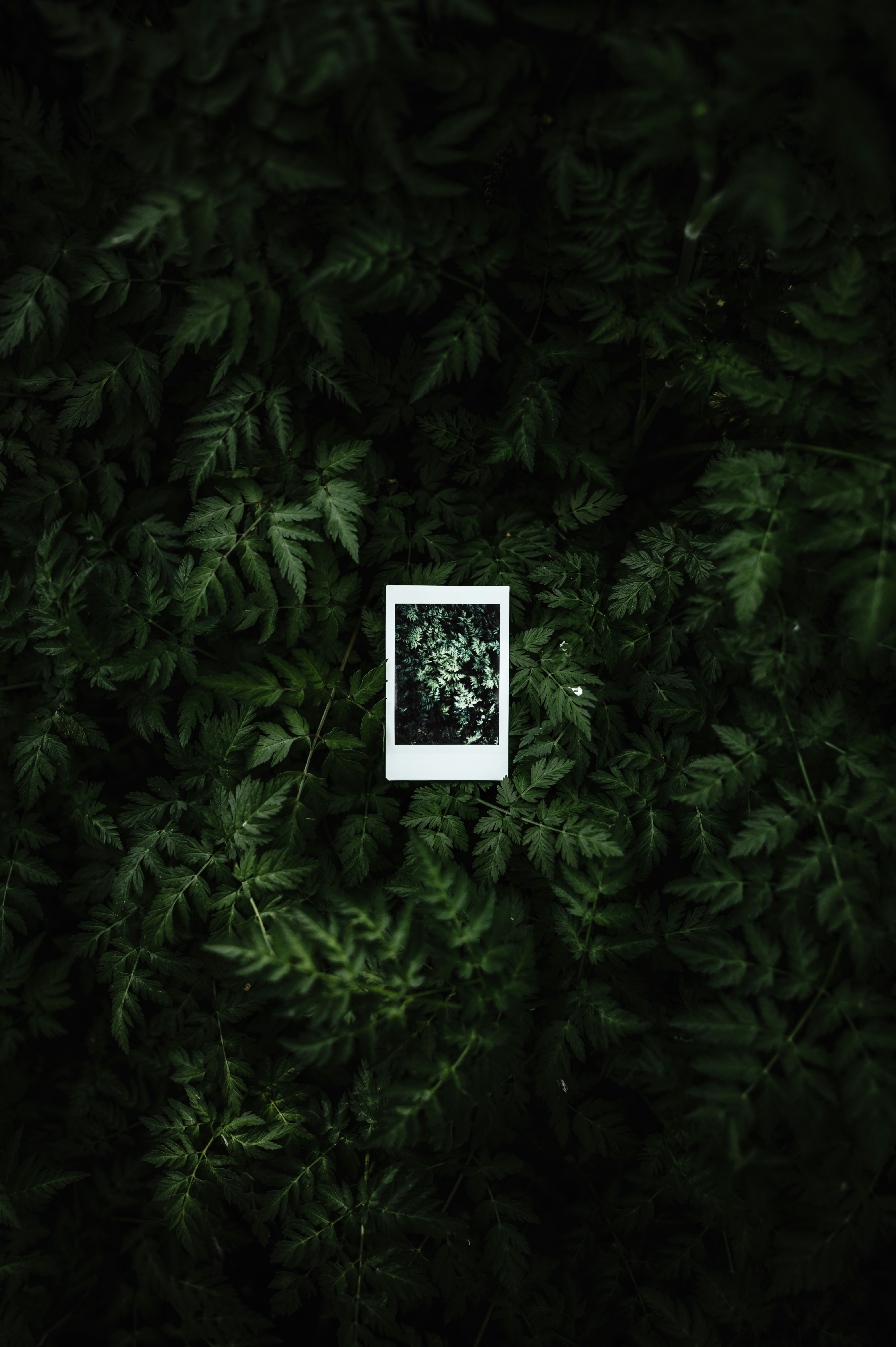 Photo by ryunosuke_kikuno