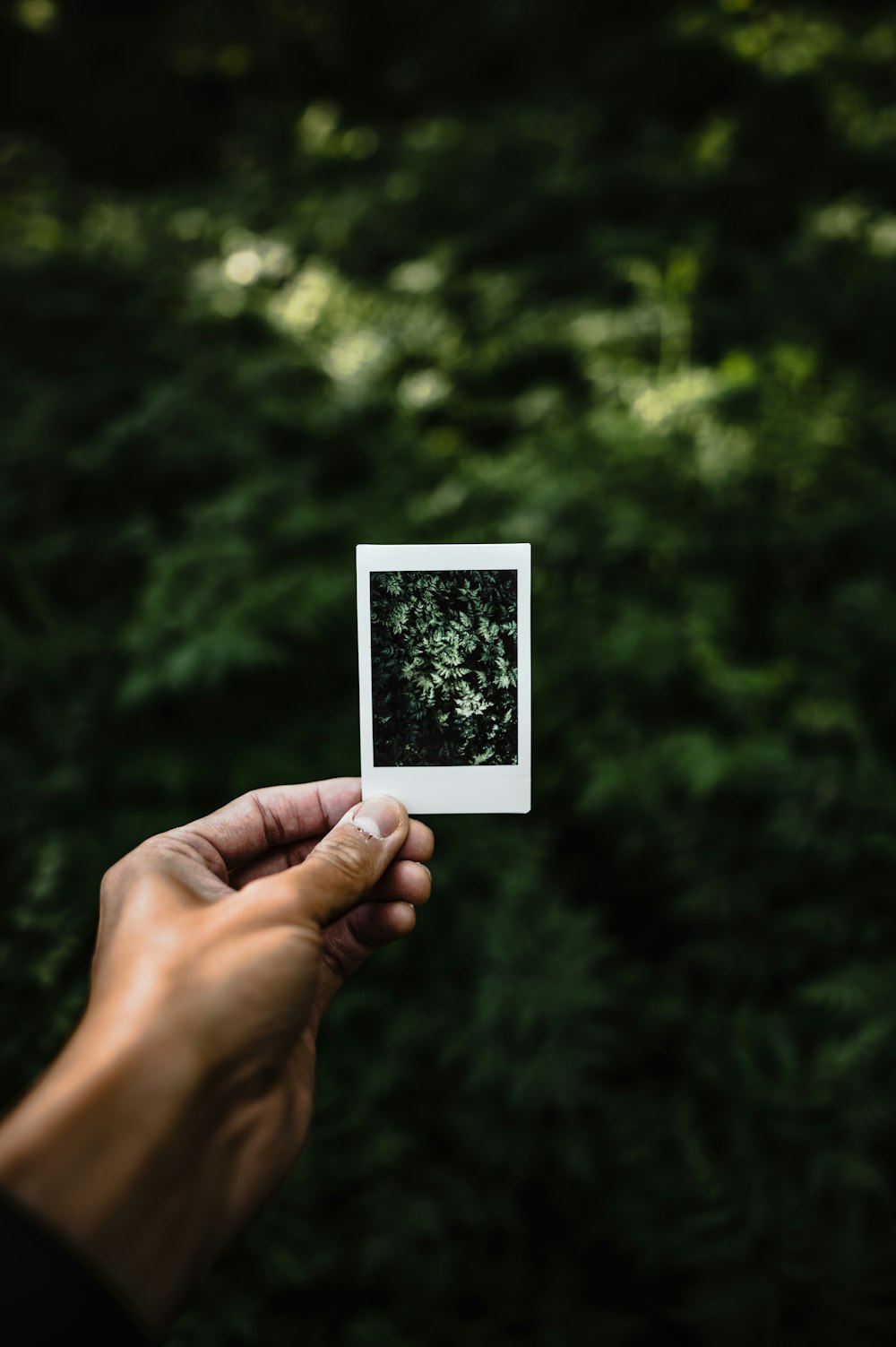 a person holding a polaroid in their hand