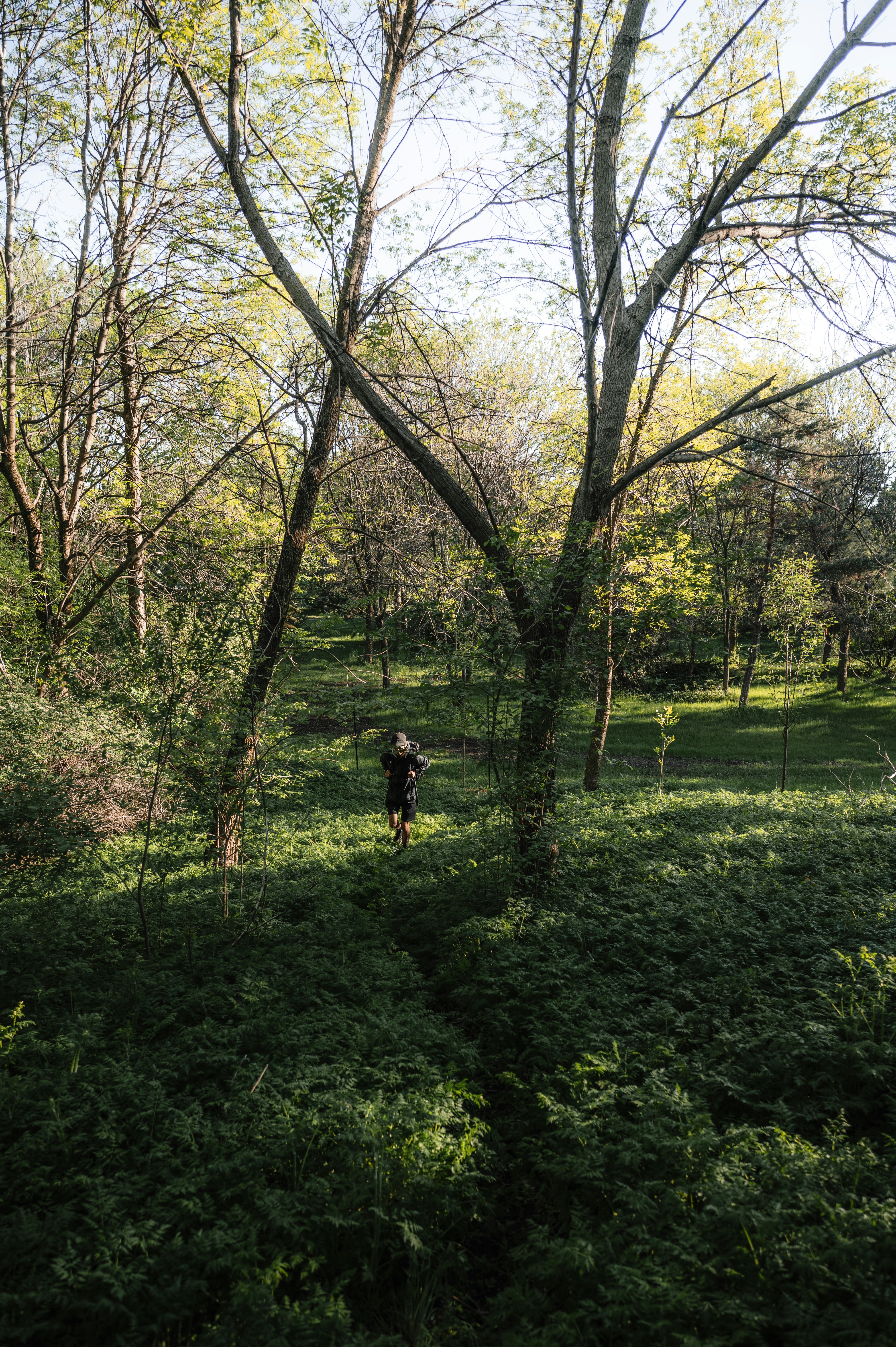 Photo by ryunosuke_kikuno