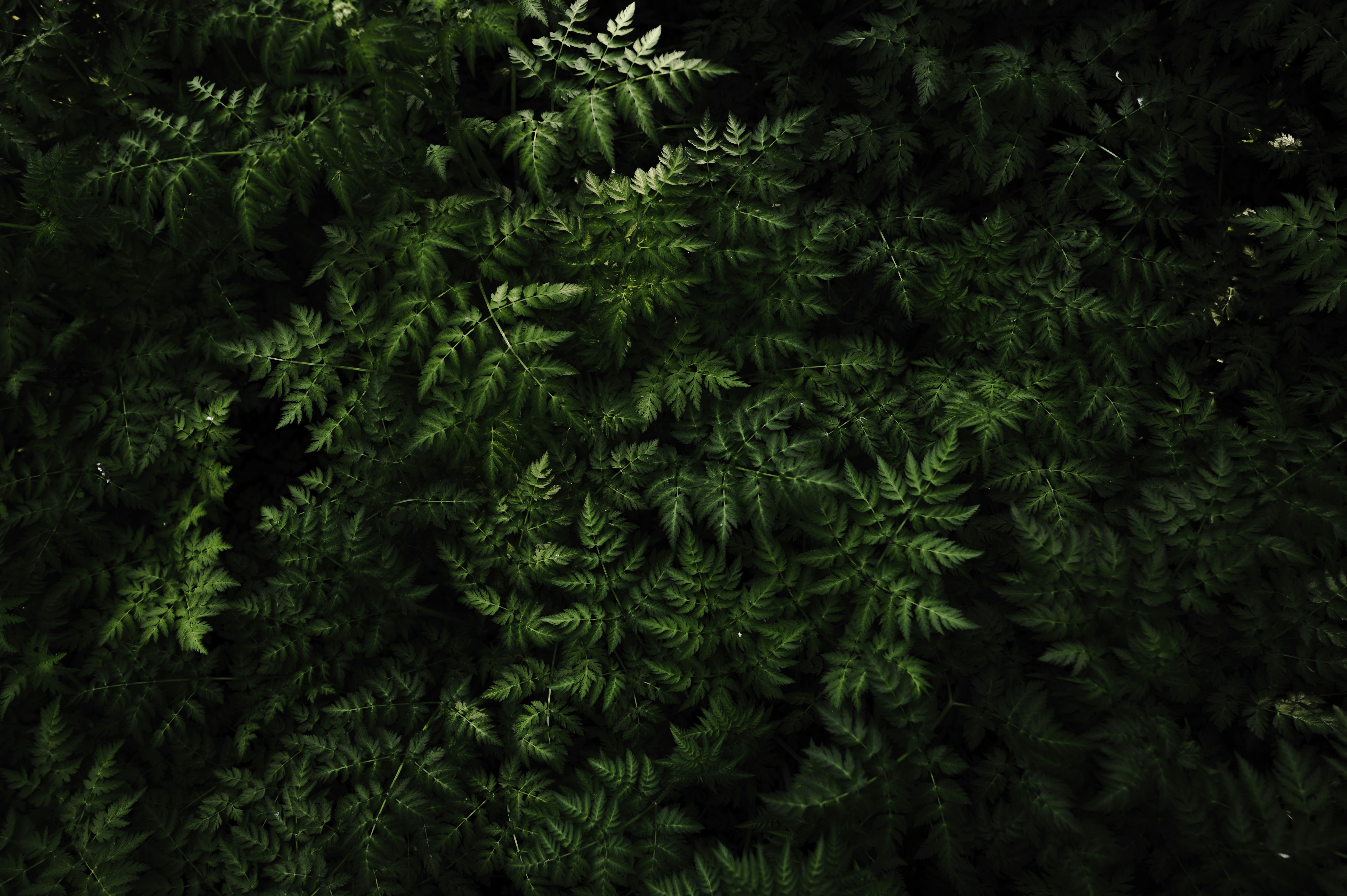 Photo by ryunosuke_kikuno