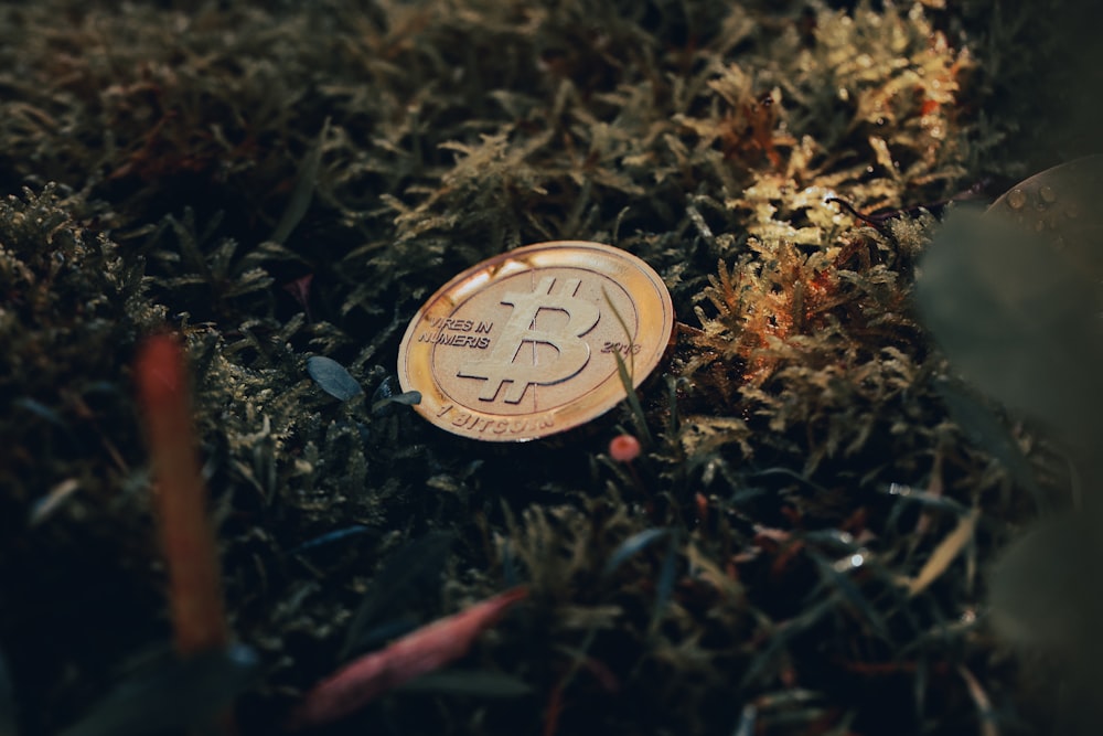 a bitcoin laying on the ground in the grass