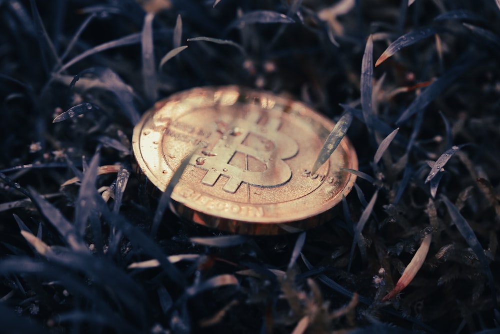 a bitcoin sitting on top of a pile of grass