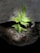 A bright green plant is growing through a gap in a large piece of weathered wood. The contrast between the vibrant leaves and the rough, grayish-brown texture of the tree trunk highlights the plant’s liveliness and resilience.
