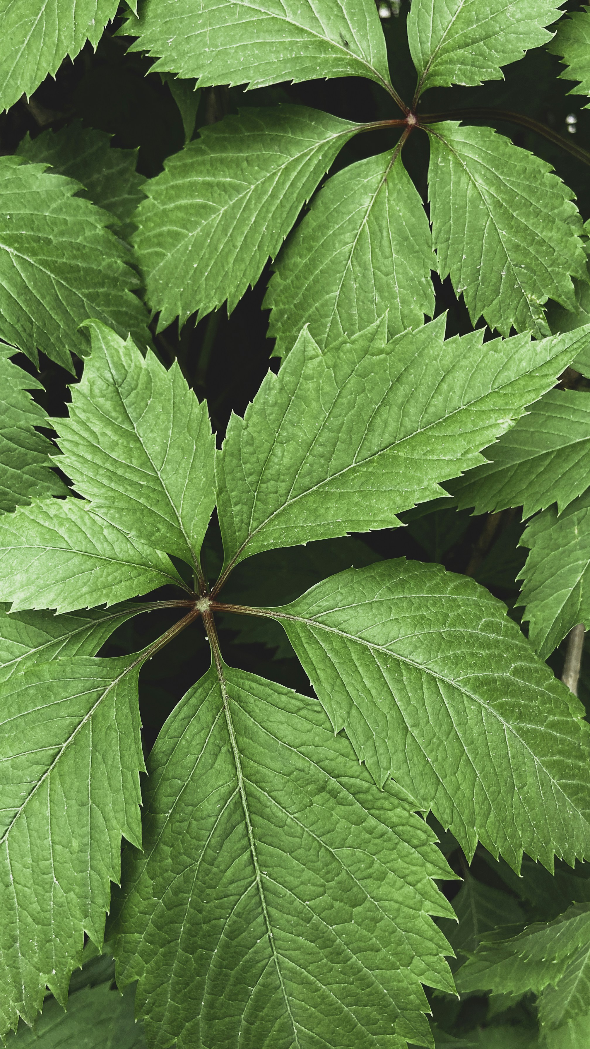 Photo by maksym_tymchyk