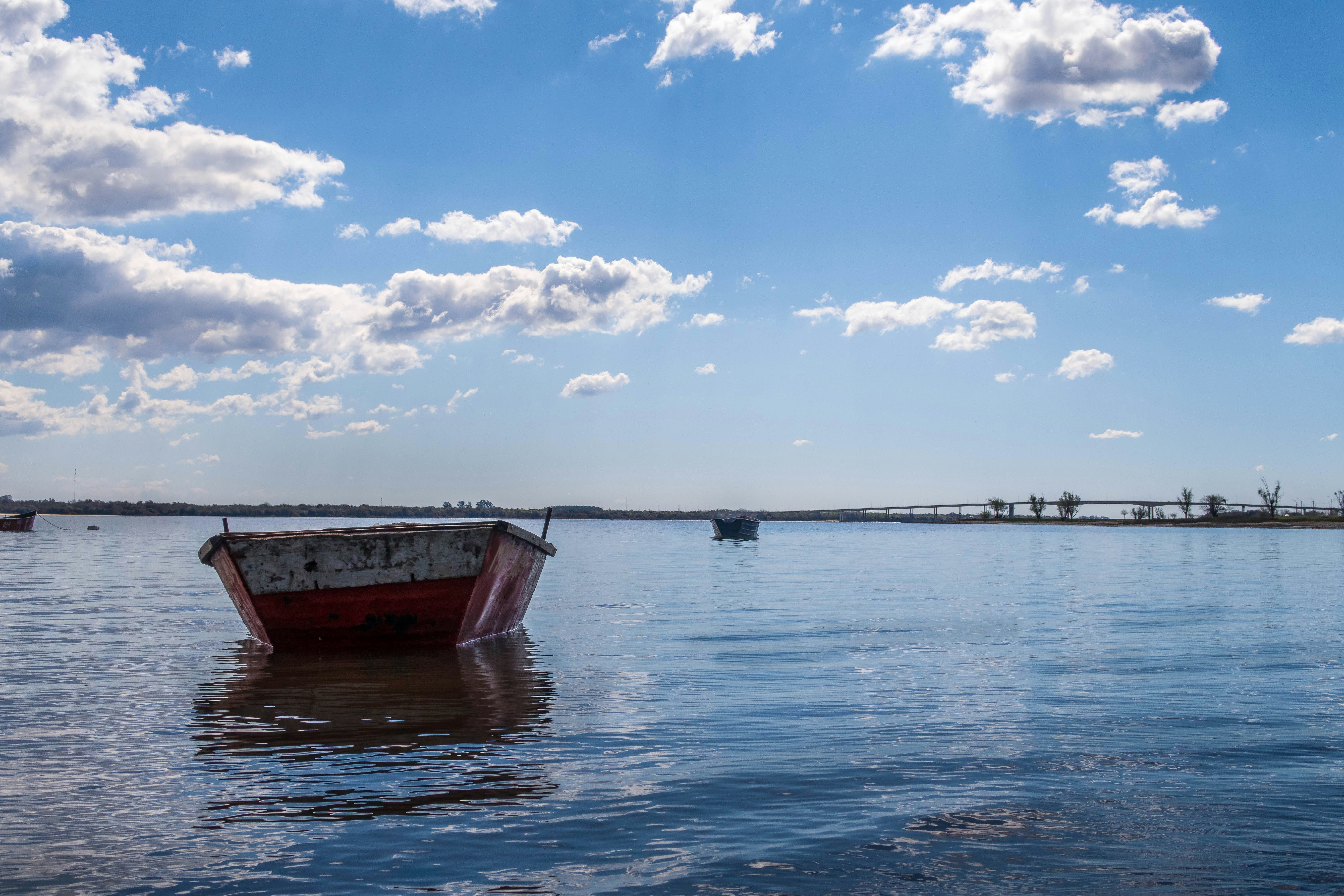 Photo by argentinanatural