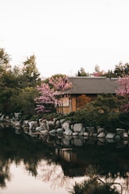 A serene garden scene with a pond reflecting the surrounding landscape. Pink cherry blossoms and lush green foliage frame a traditional structure with a gray tiled roof. Rocks line the edge of the water, enhancing the tranquil atmosphere.