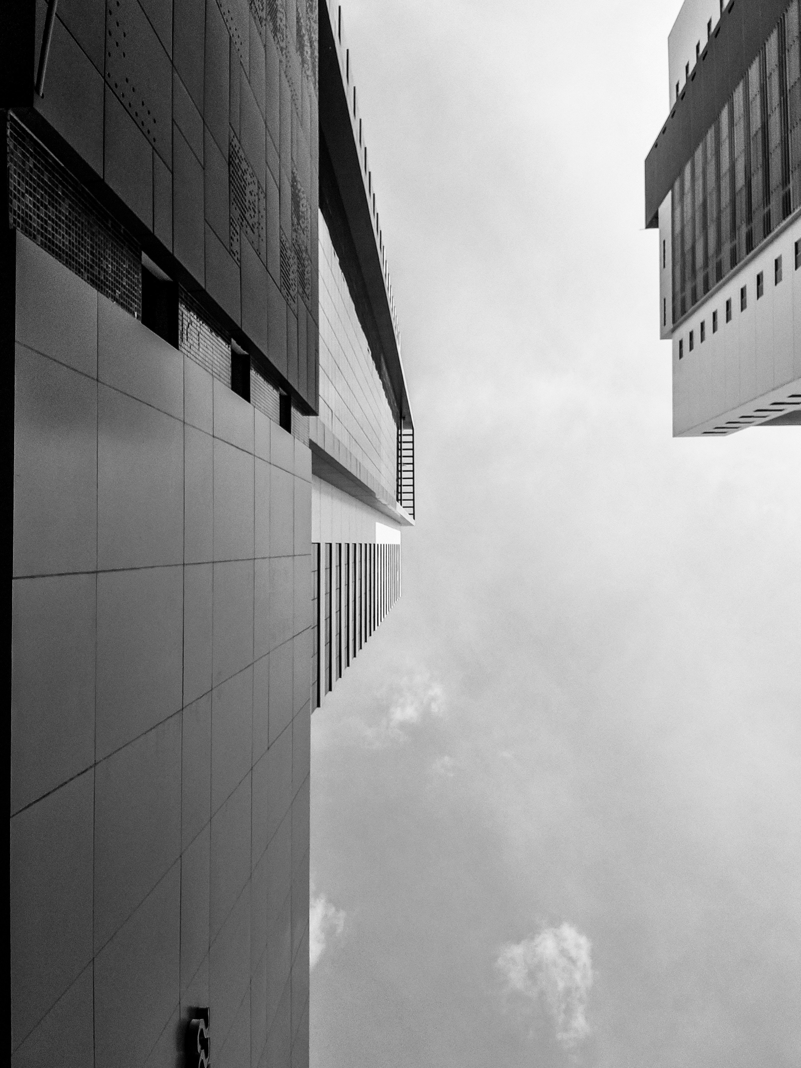 Photo by felipefersilva