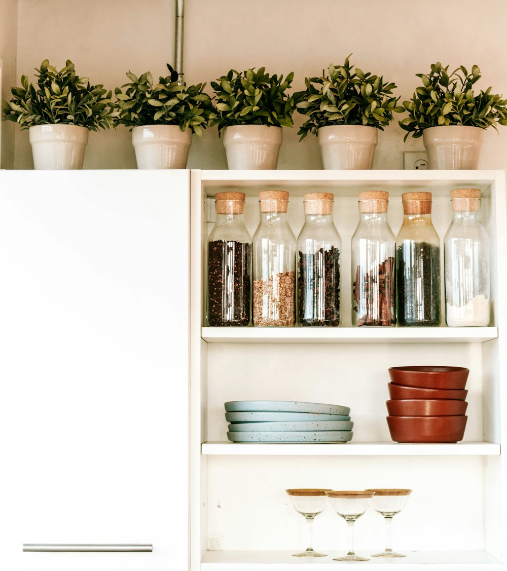 a kitchen shelf filled with dishes and plants