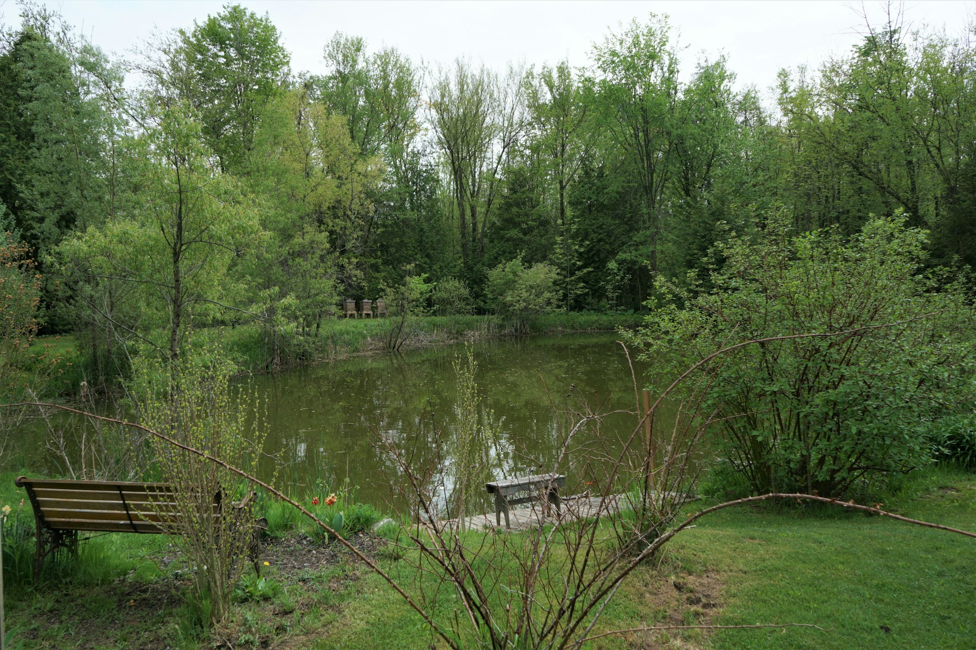 gray computer monitor