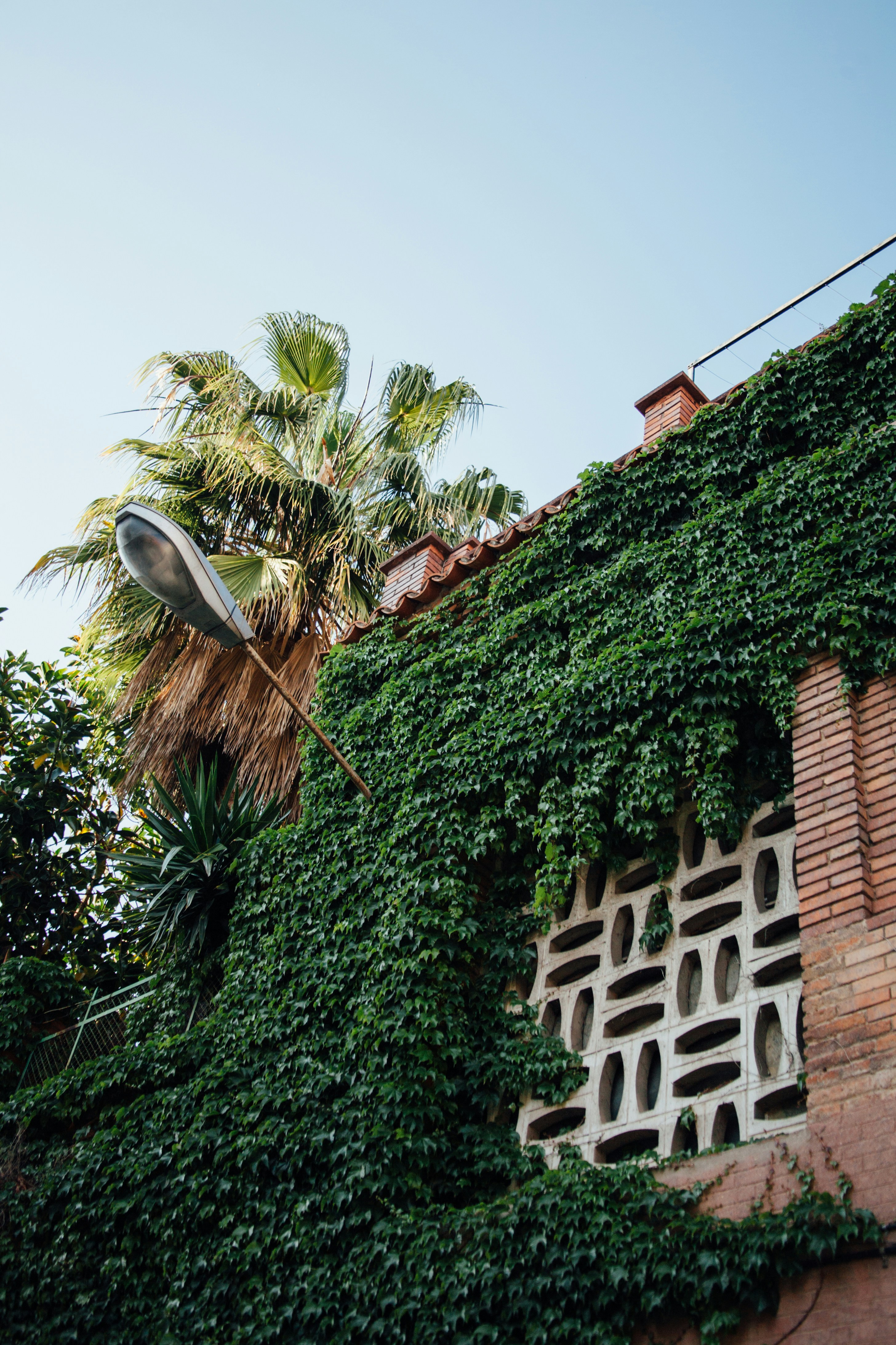 Photo by skatienstuksuma