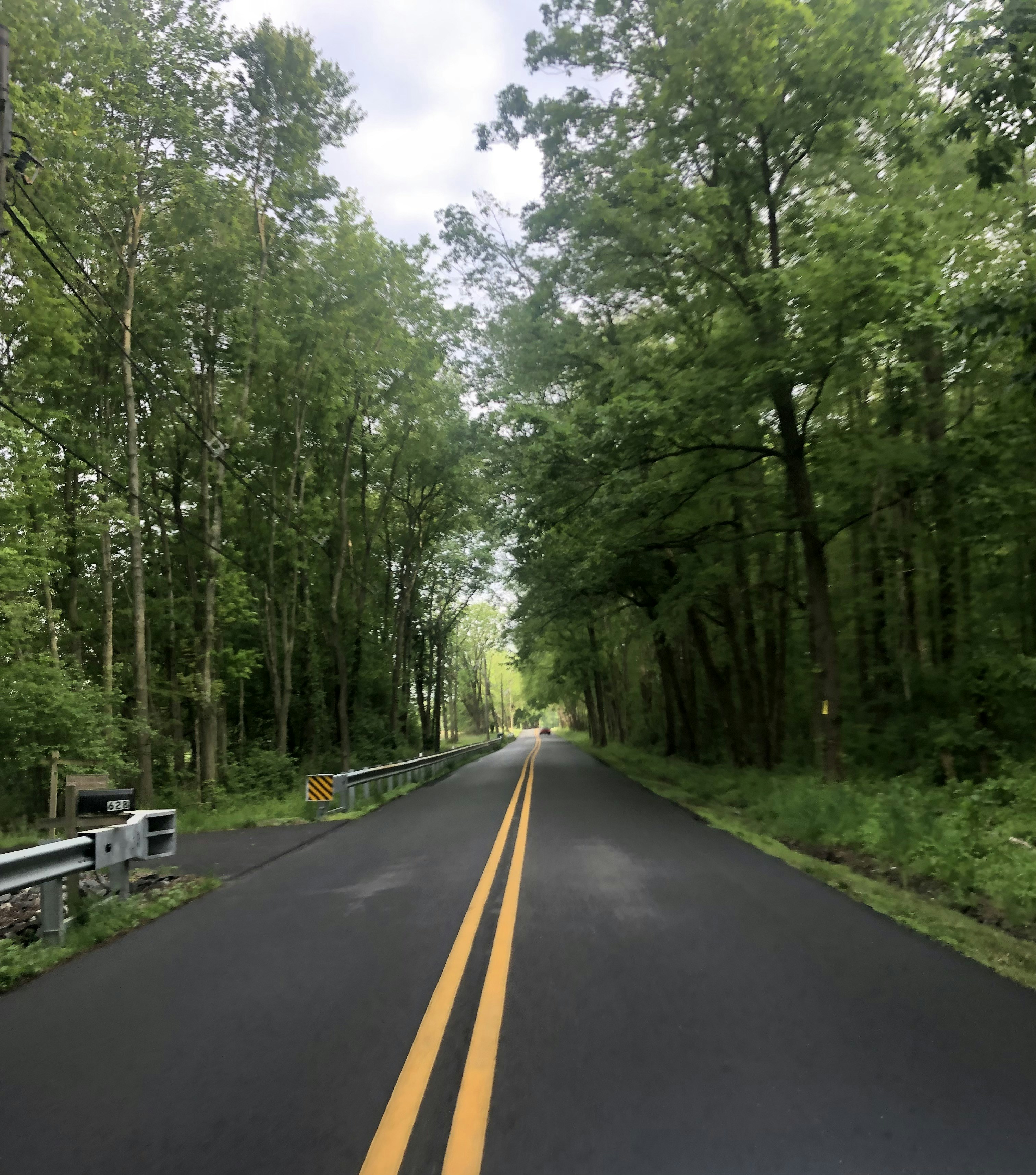 Photo by cacklingskeleton