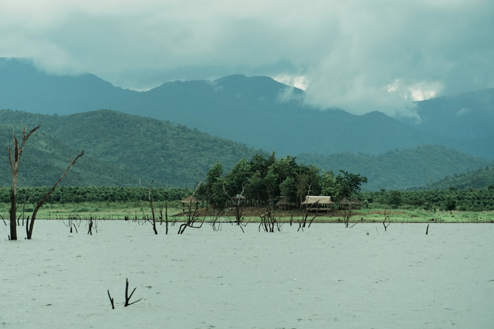 a body of water with trees and mountains in the background