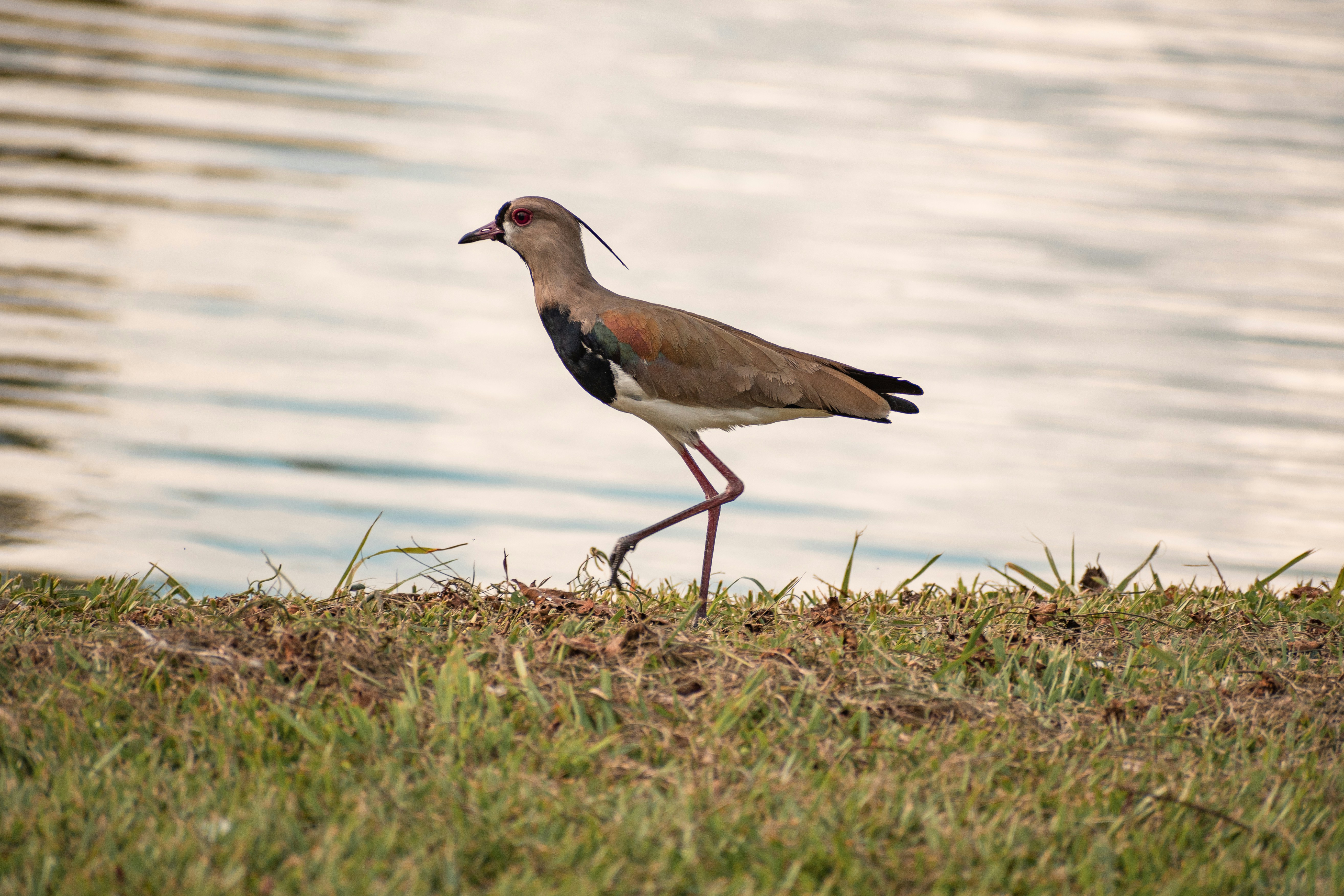 Photo by ardilavisuals