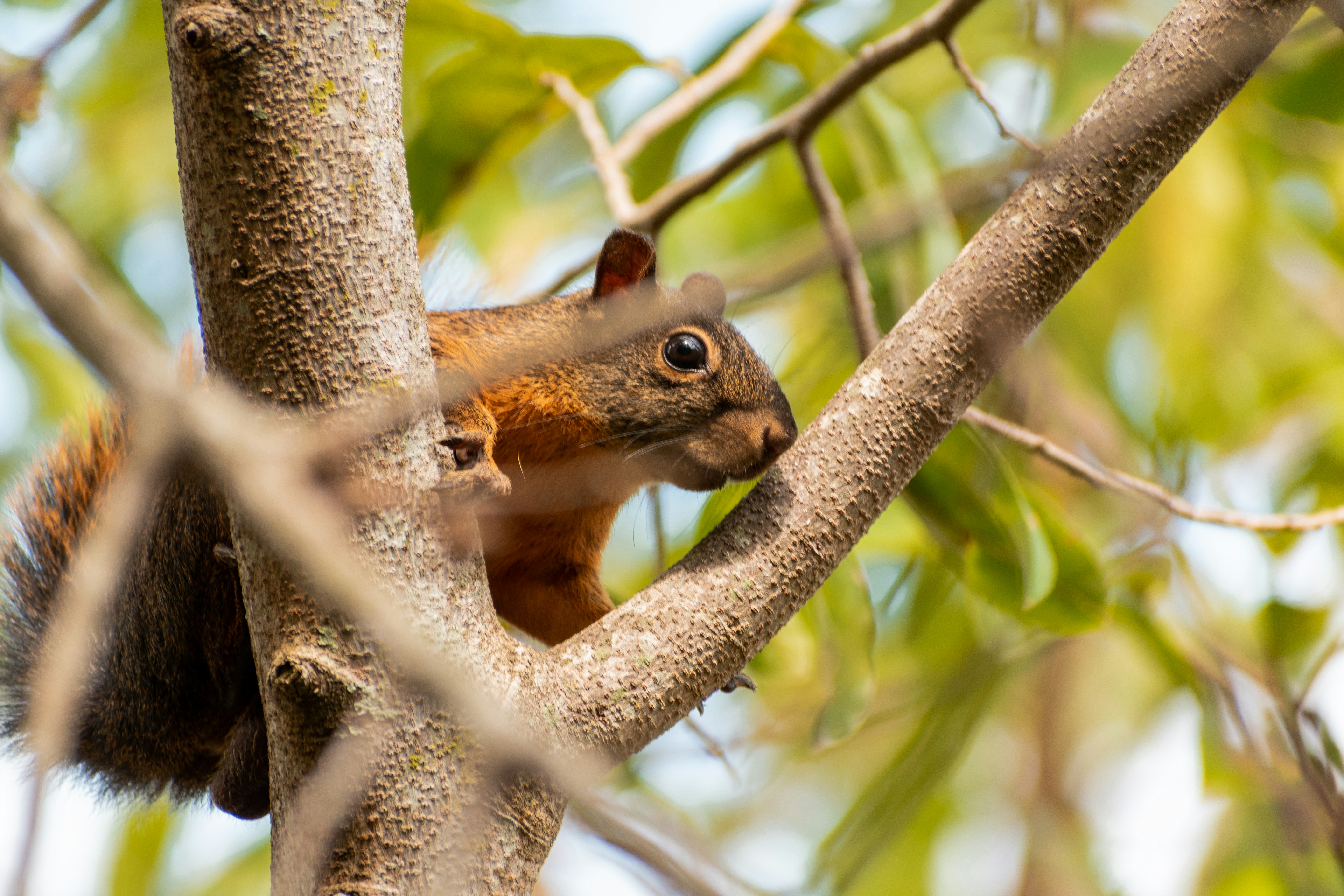 Photo by ardilavisuals