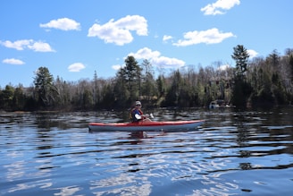 Person kayaking on a calm lake surrounded by trees.