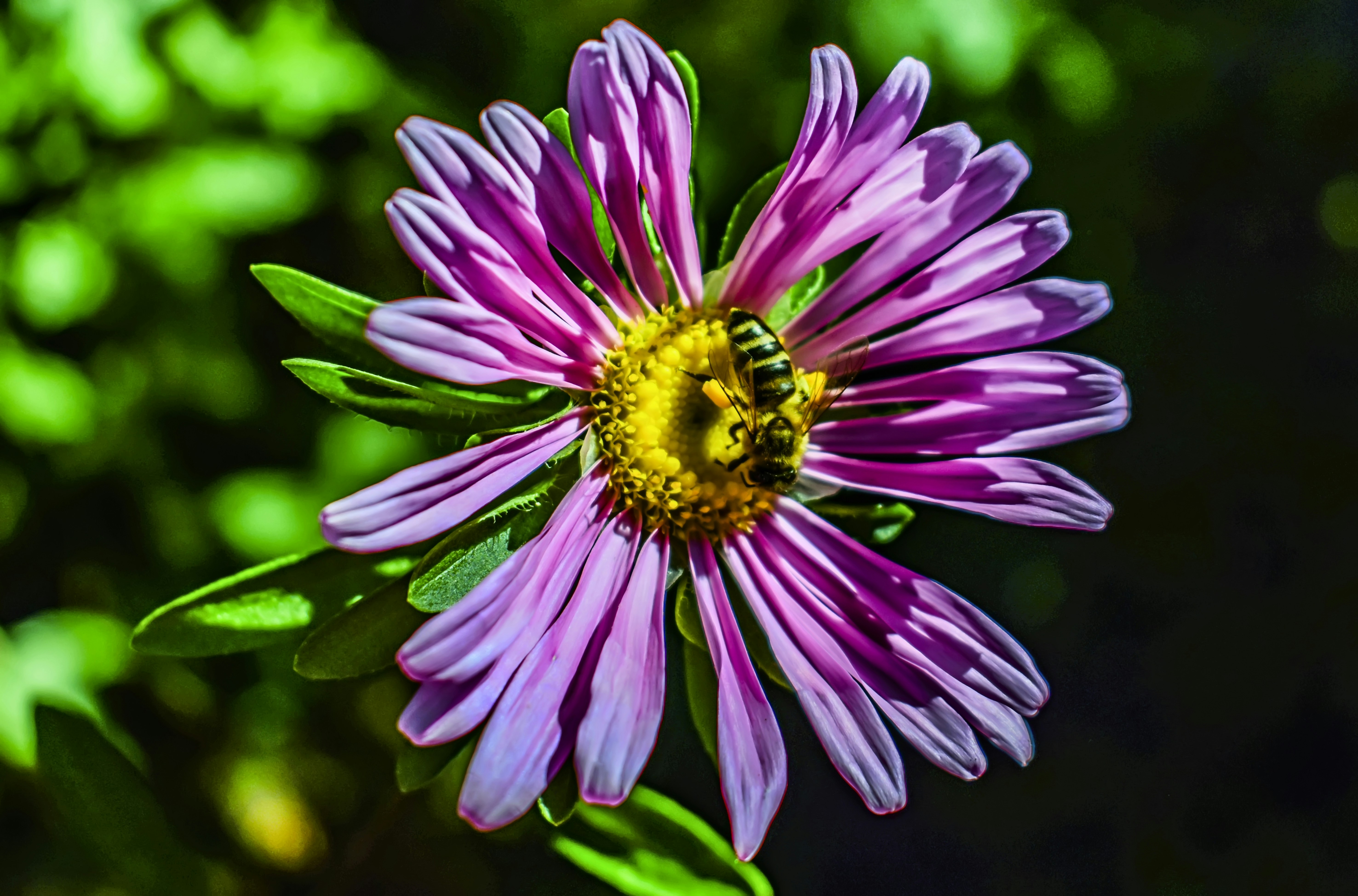 Photo by kostiantynvierkieiev