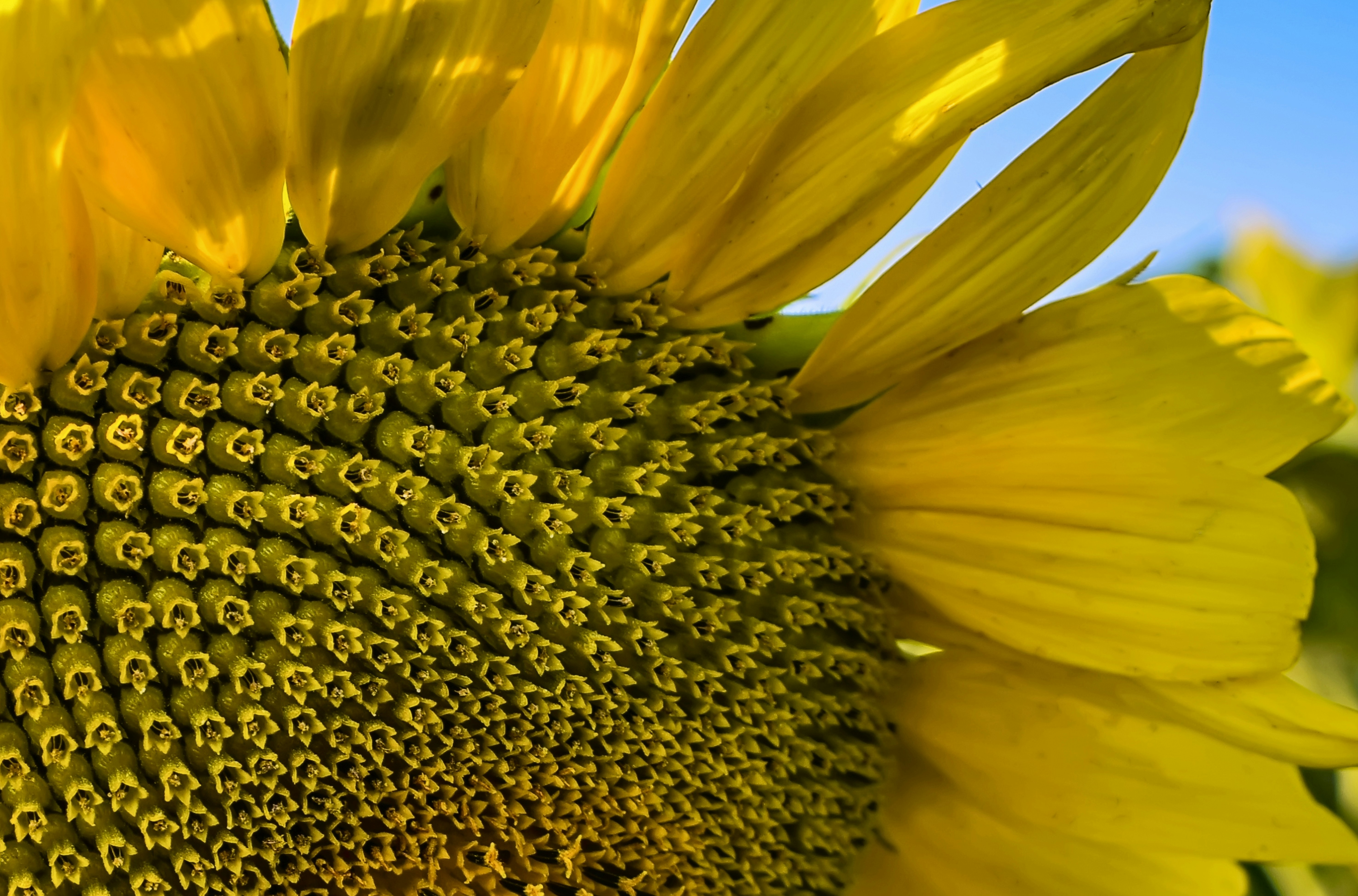 Photo by kostiantynvierkieiev