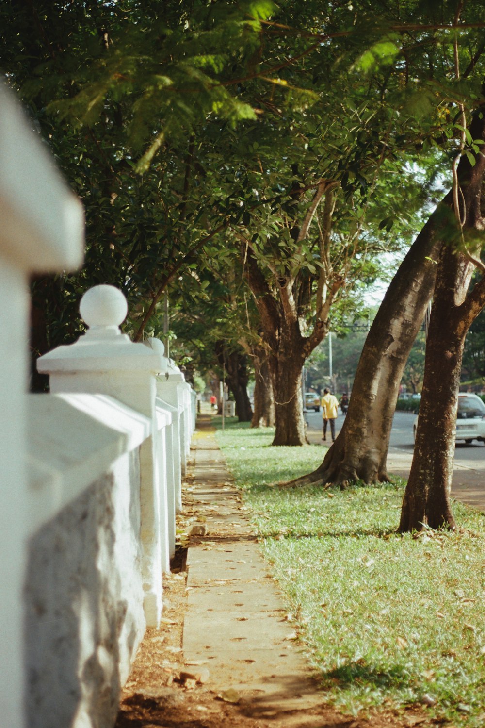 a white fence and some trees on a sidewalk