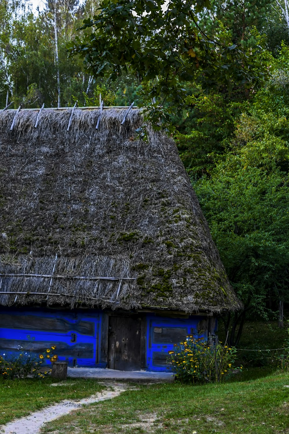 a blue house with a thatched roof in the woods