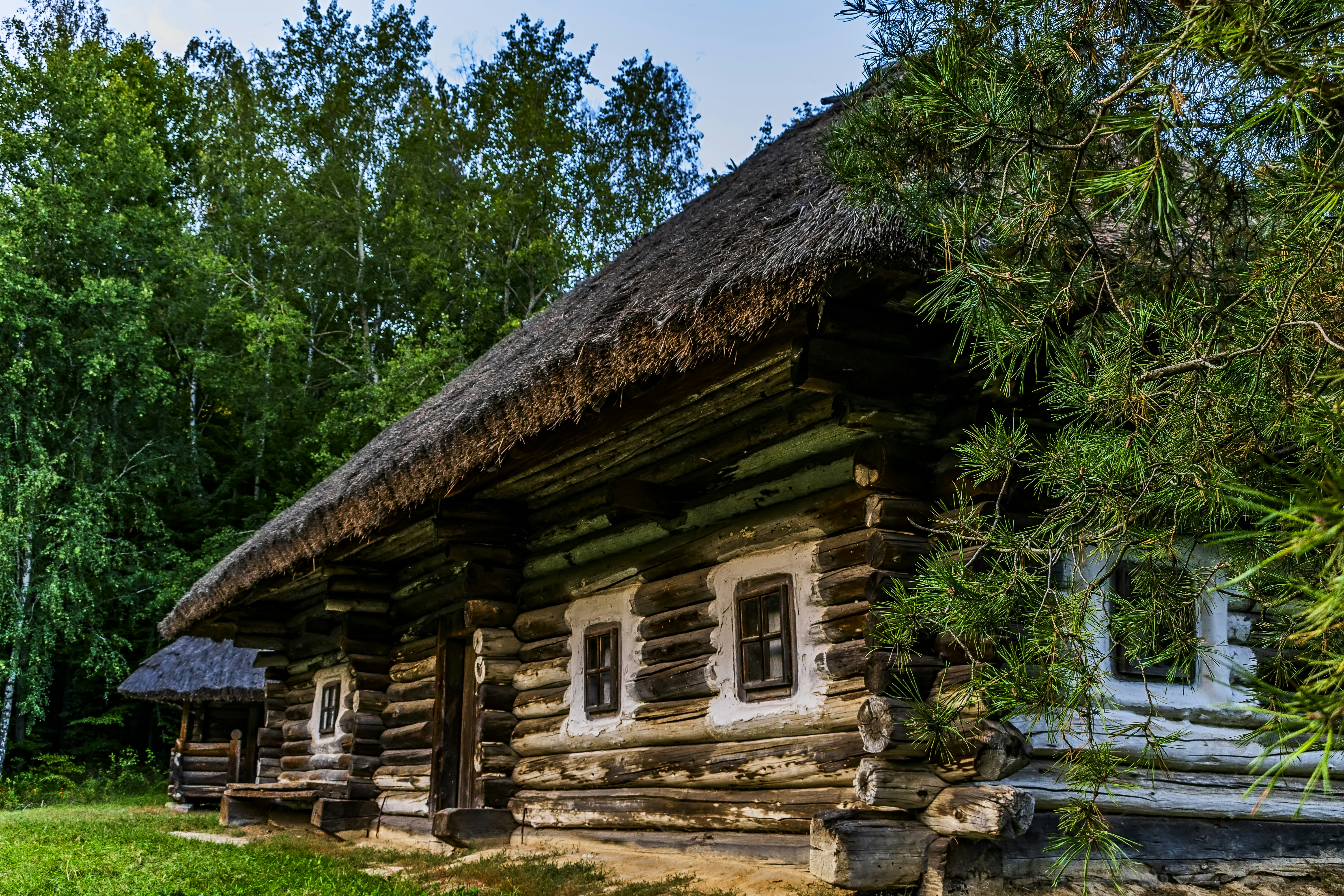 Photo by kostiantynvierkieiev